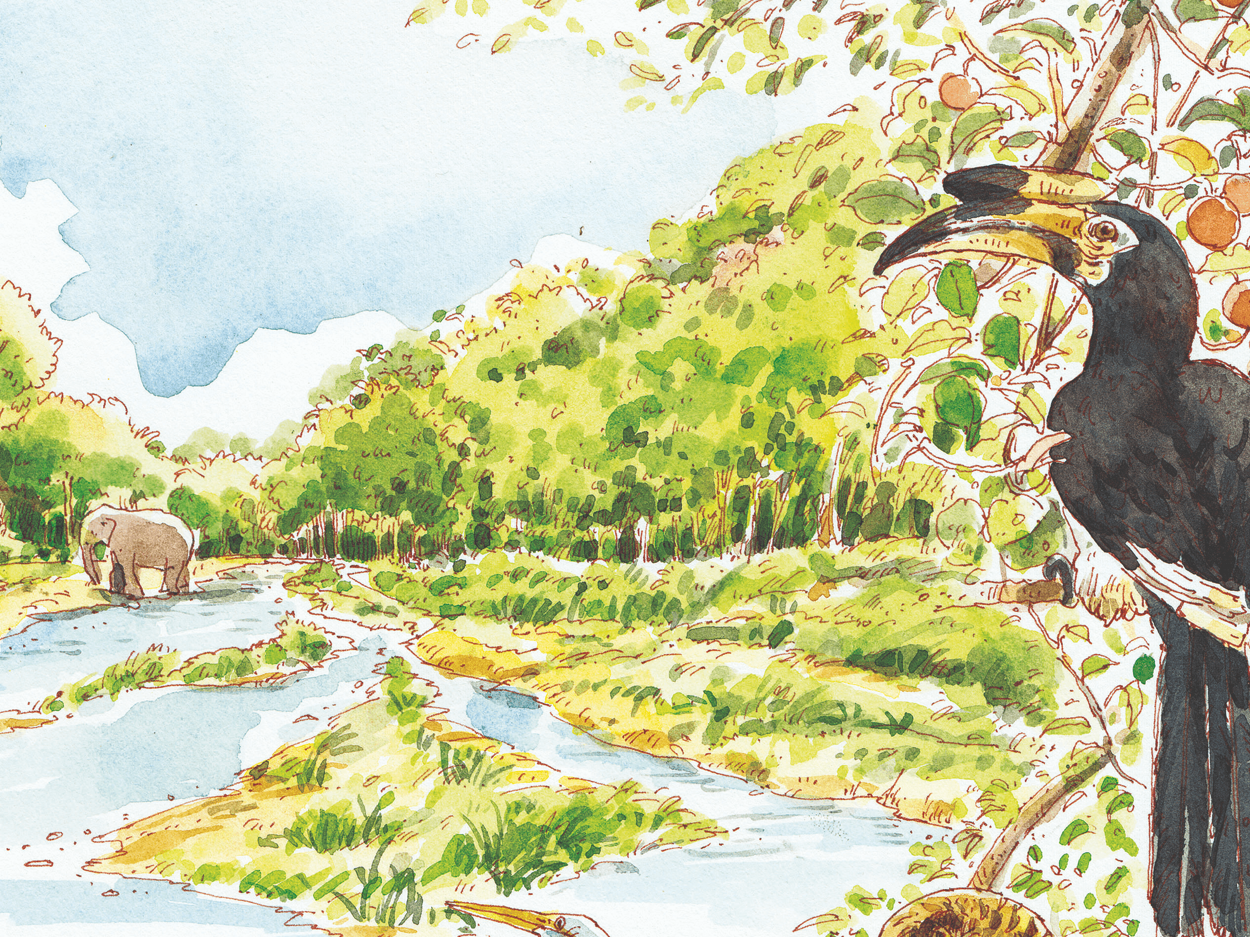 479 วาดเมือง ห้วยทับเสลา