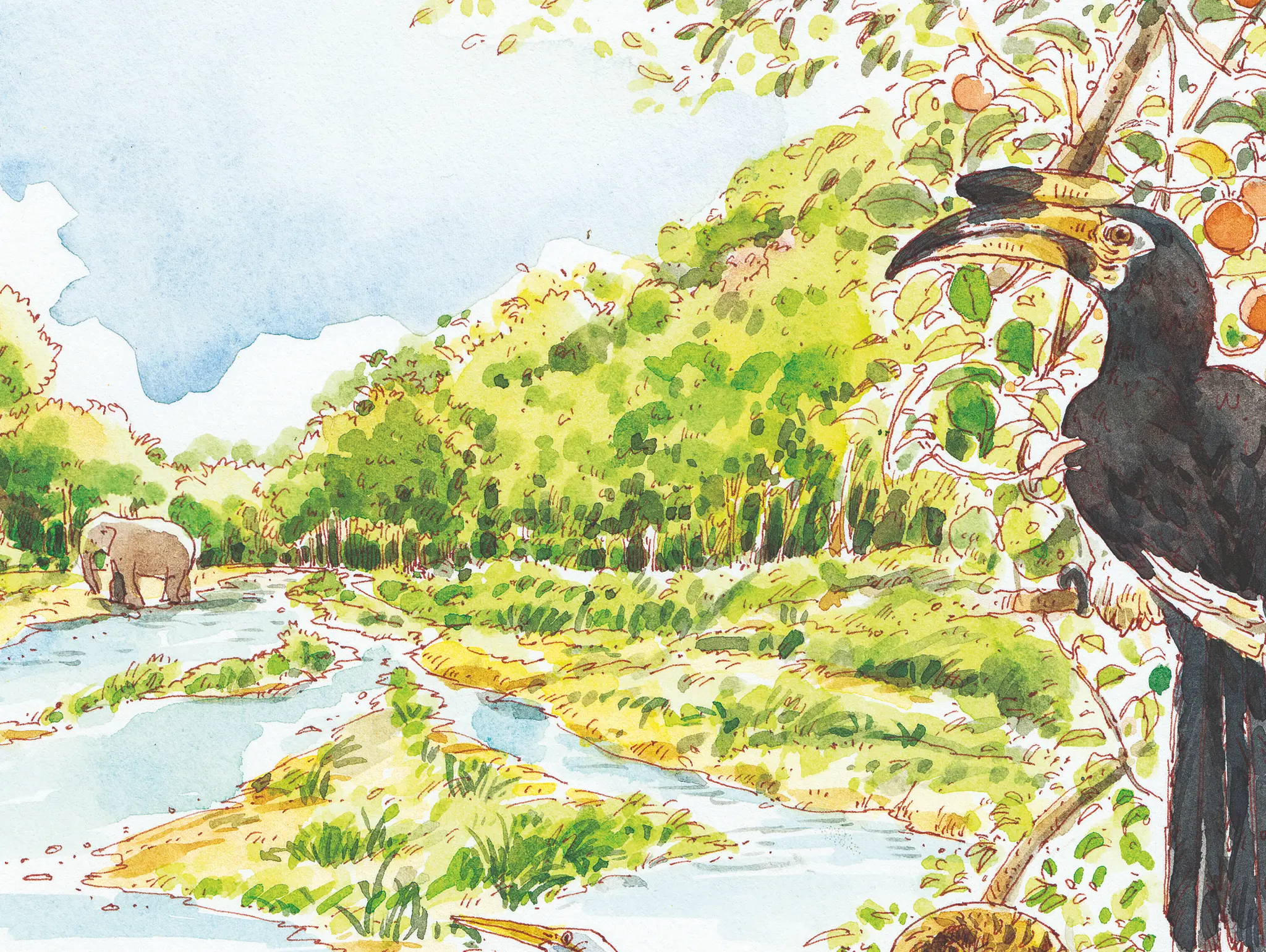 479 วาดเมือง ห้วยทับเสลา