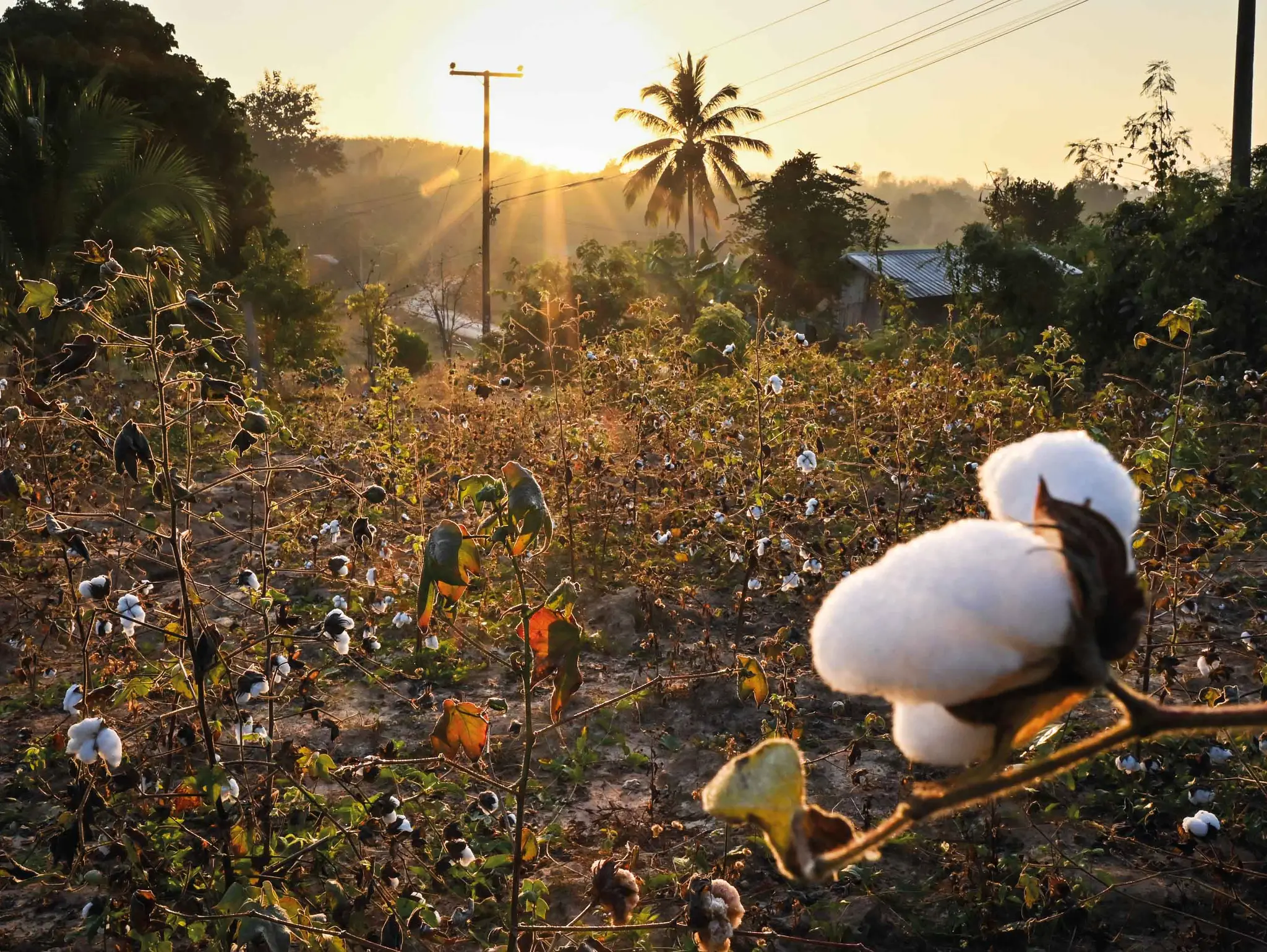ลองอ่าน 490 ตำหูกฟื้นฟูภูเขา ศิลปะผ้าทอกับเหมืองแร่ทองคำร้าง