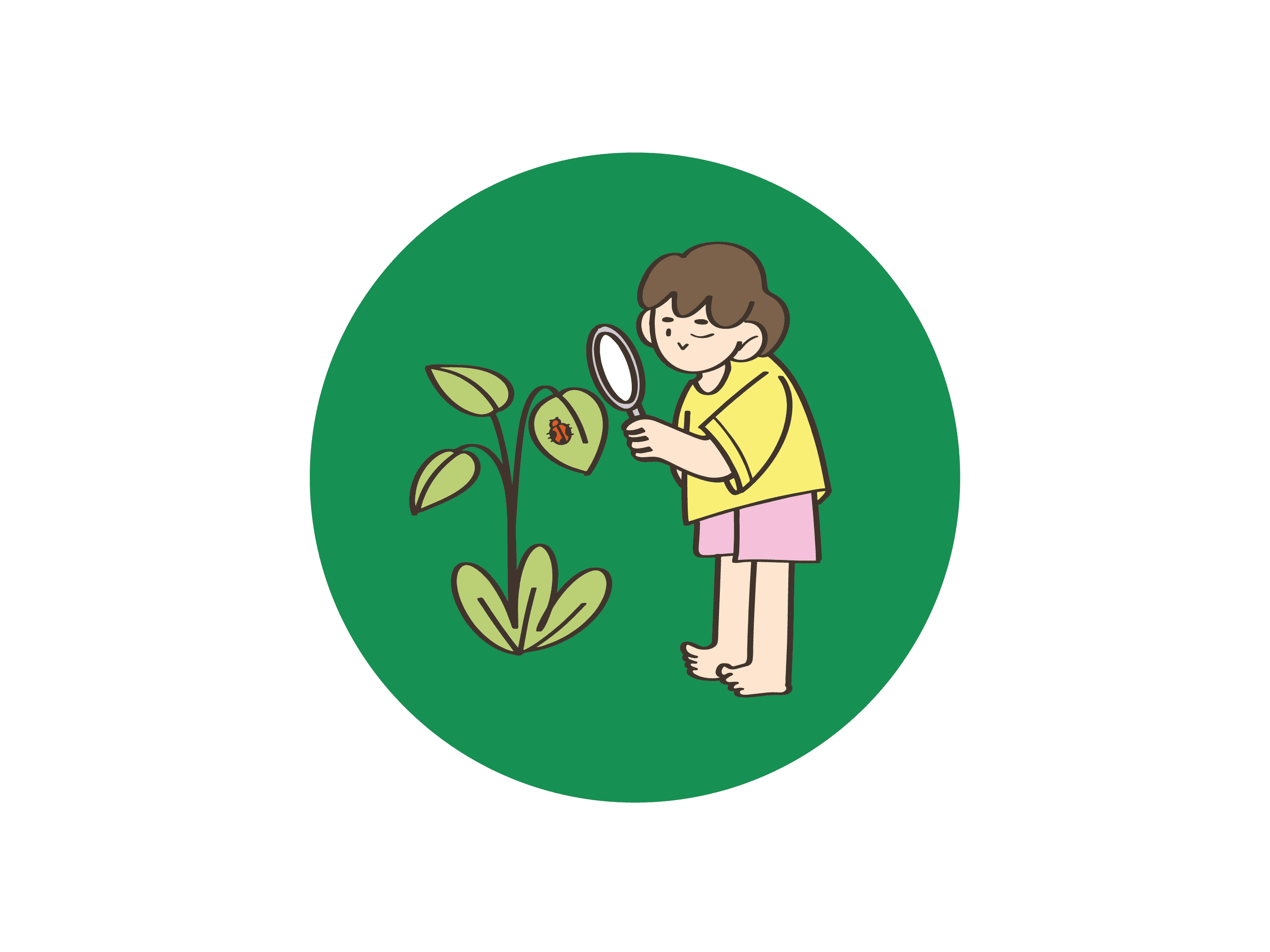 แผนที่ Healใจ Parkใจในสวน ฝั่งธนฯ แมลง แมง เมือง สำรวจสายสัมพันธ์ที่ซ่อนอยู่