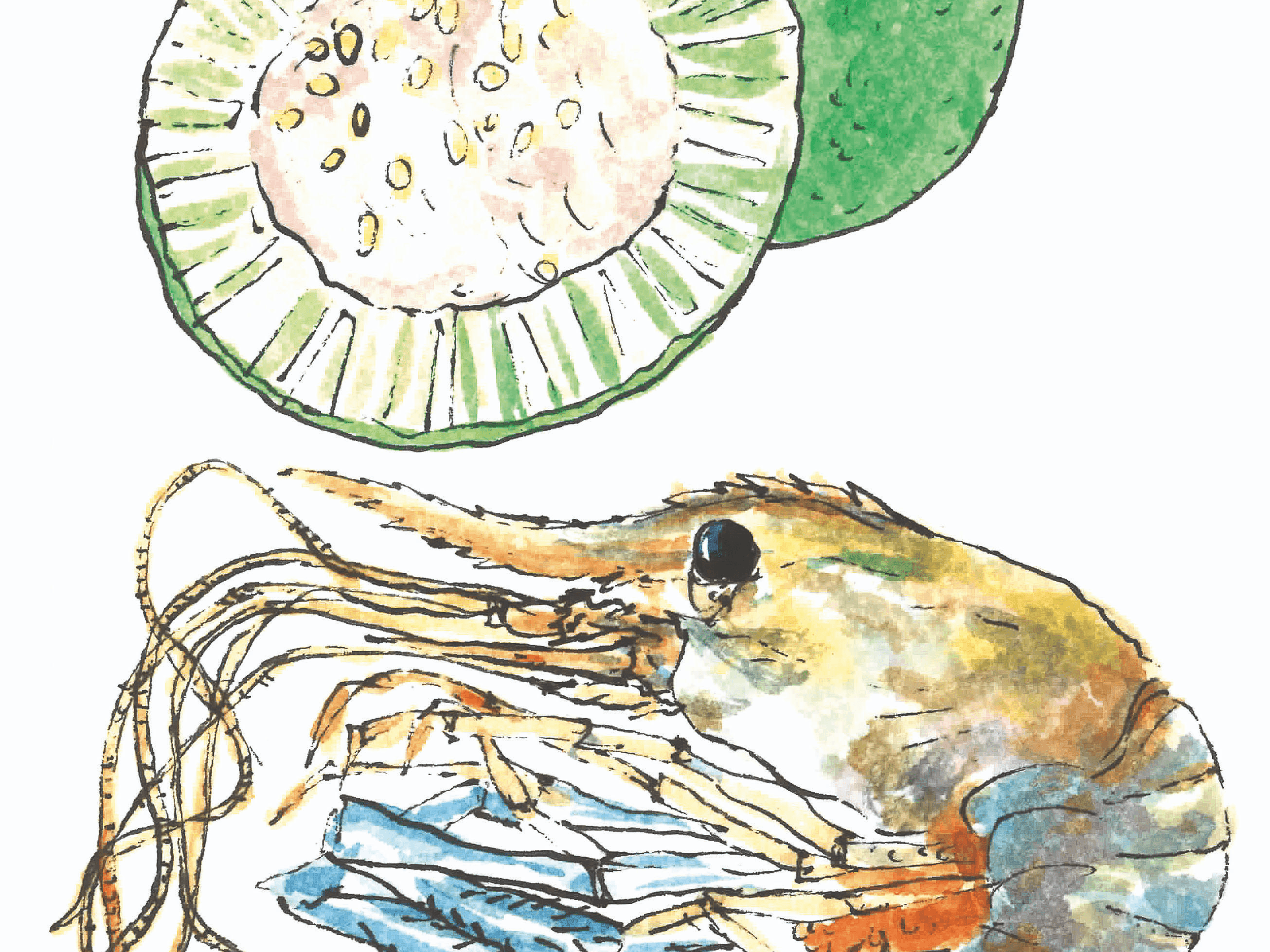 488 ท้ายครัว ผัดส้มกุ้งมะสัง