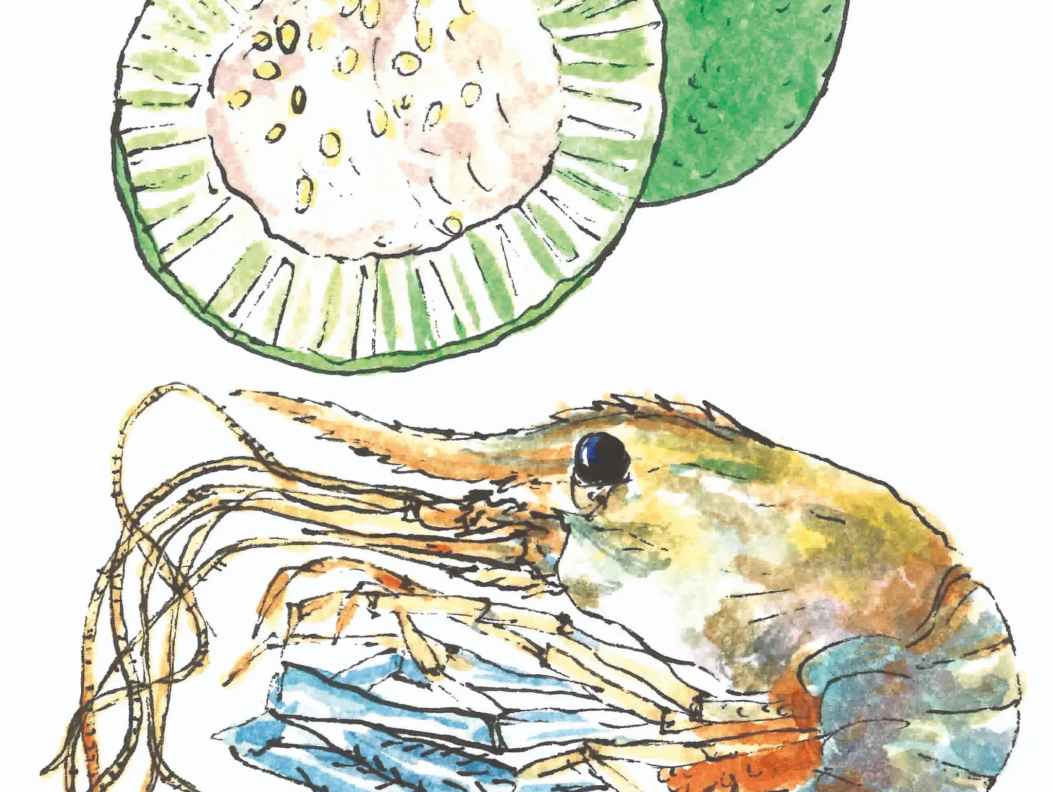 488 ท้ายครัว ผัดส้มกุ้งมะสัง