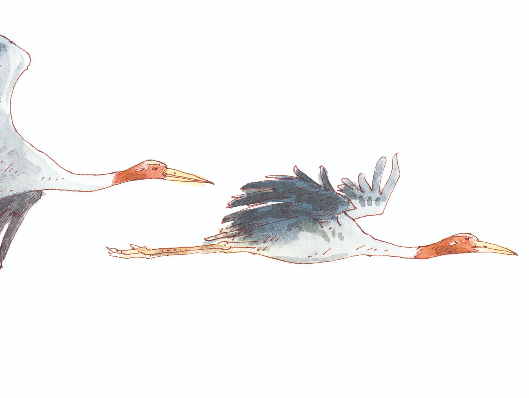 475 วาดเมือง ห้วยจรเข้มาก