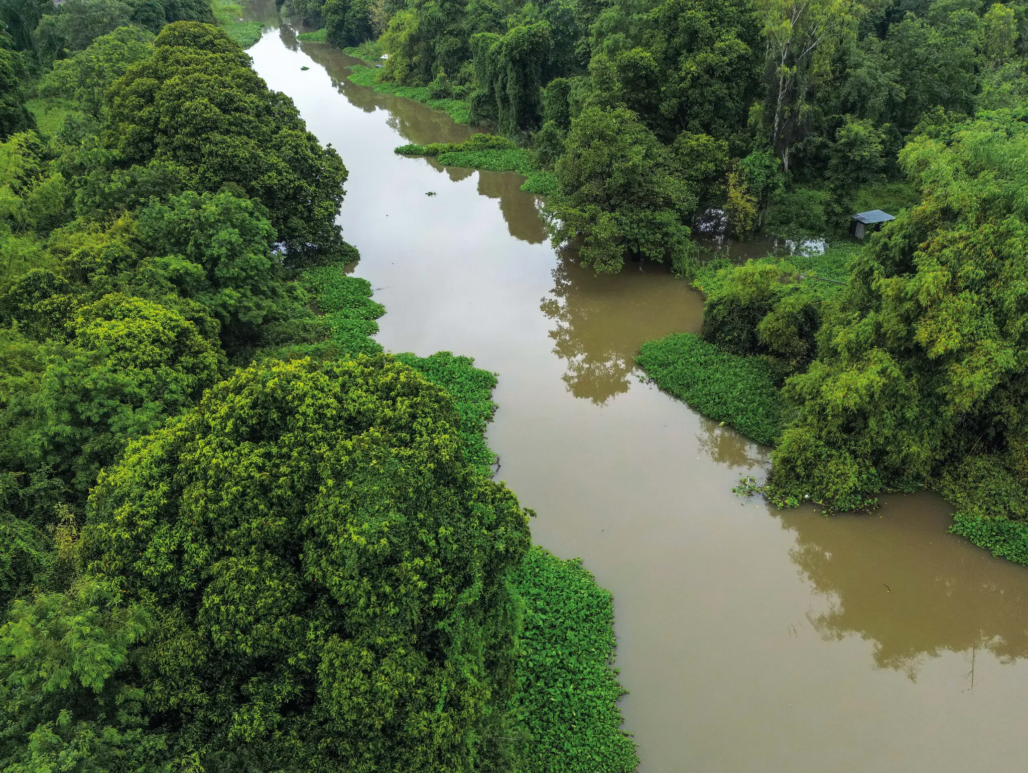 ลองอ่าน 487 คลองบางพระครู คลองในตำนาน สายน้ำในนิทาน