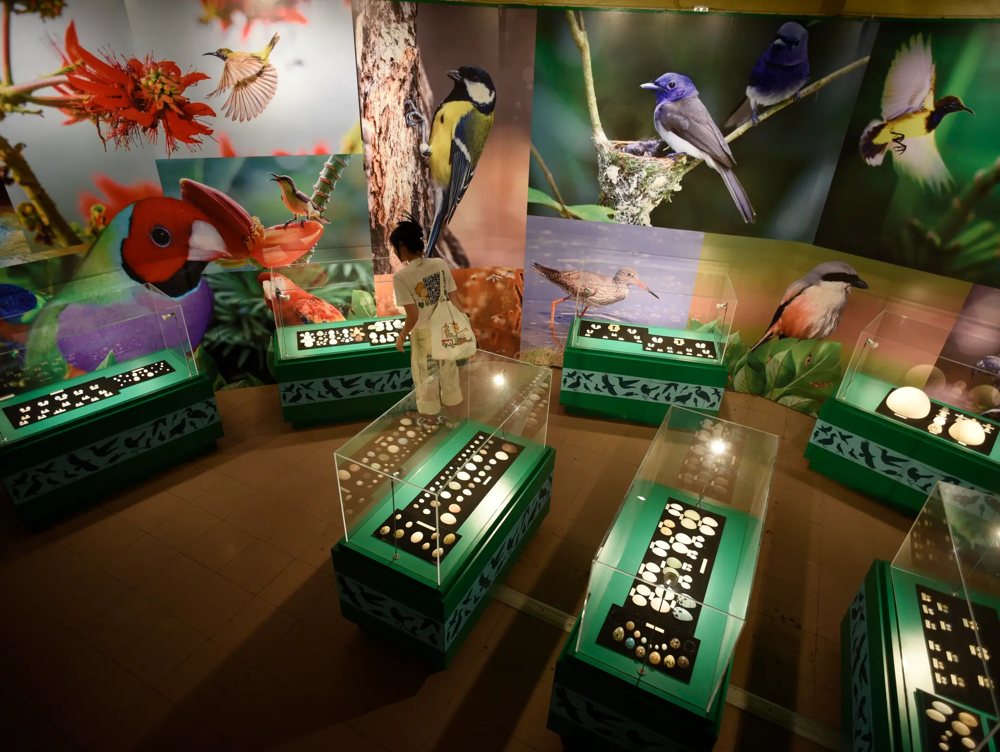 473 Hidden (in) Museum ไข่จิ๋ว ไข่ยักษ์ อัญมณีน่ารักจากวิหค