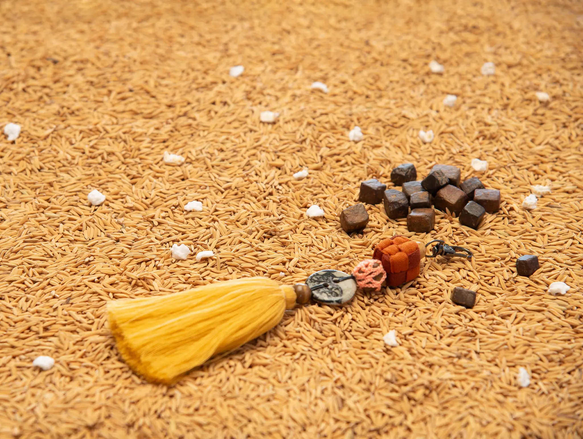 492 ธรรมชาติ ทํามาโชว์ ข้าวตอกพระร่วง