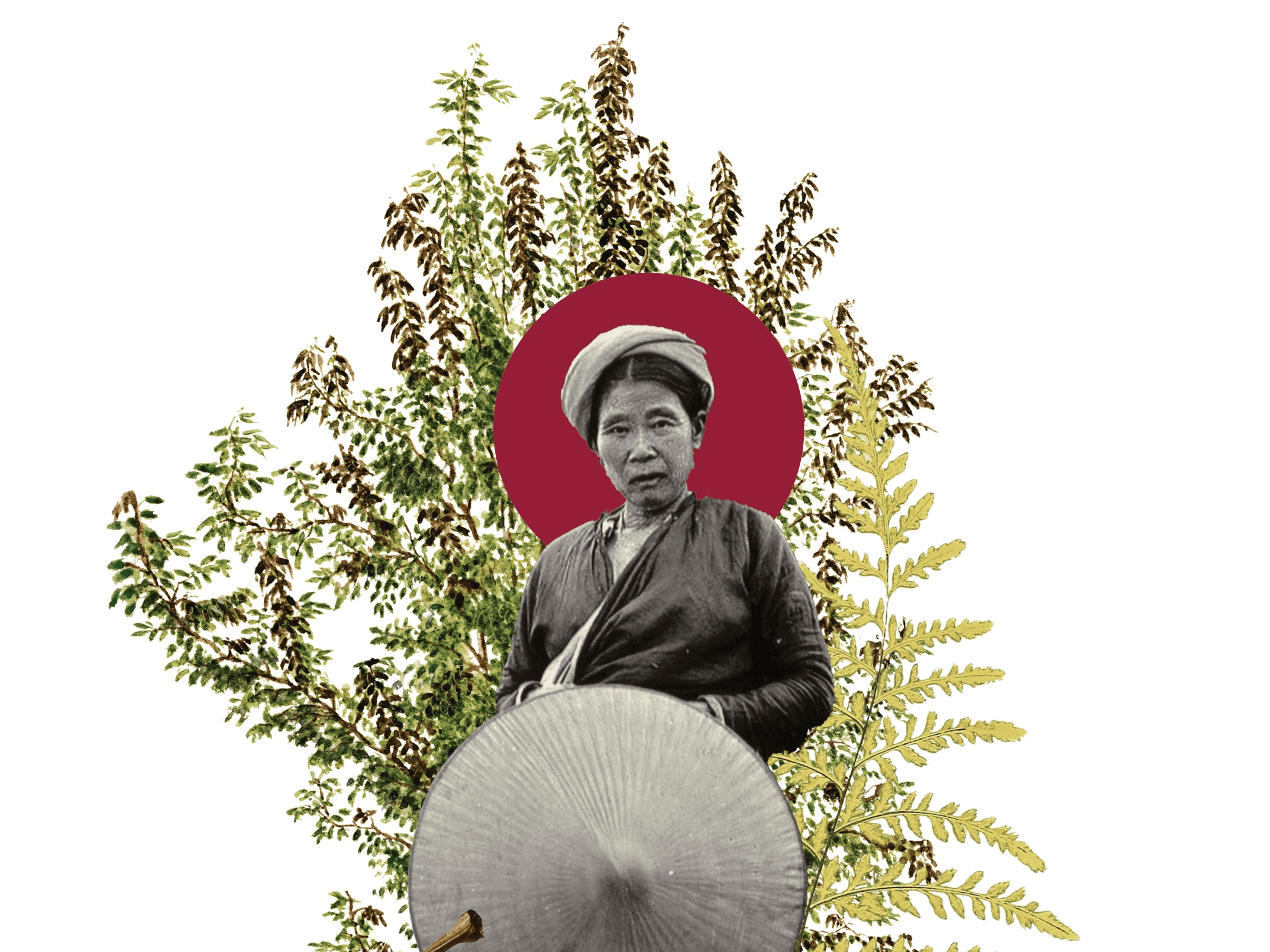 ลองอ่าน 483 จากบรรณาธิการ กลืนกลาย