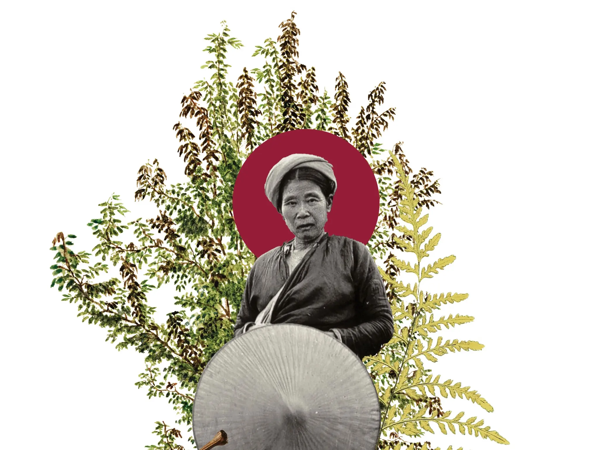 483 จากบรรณาธิการ กลืนกลาย