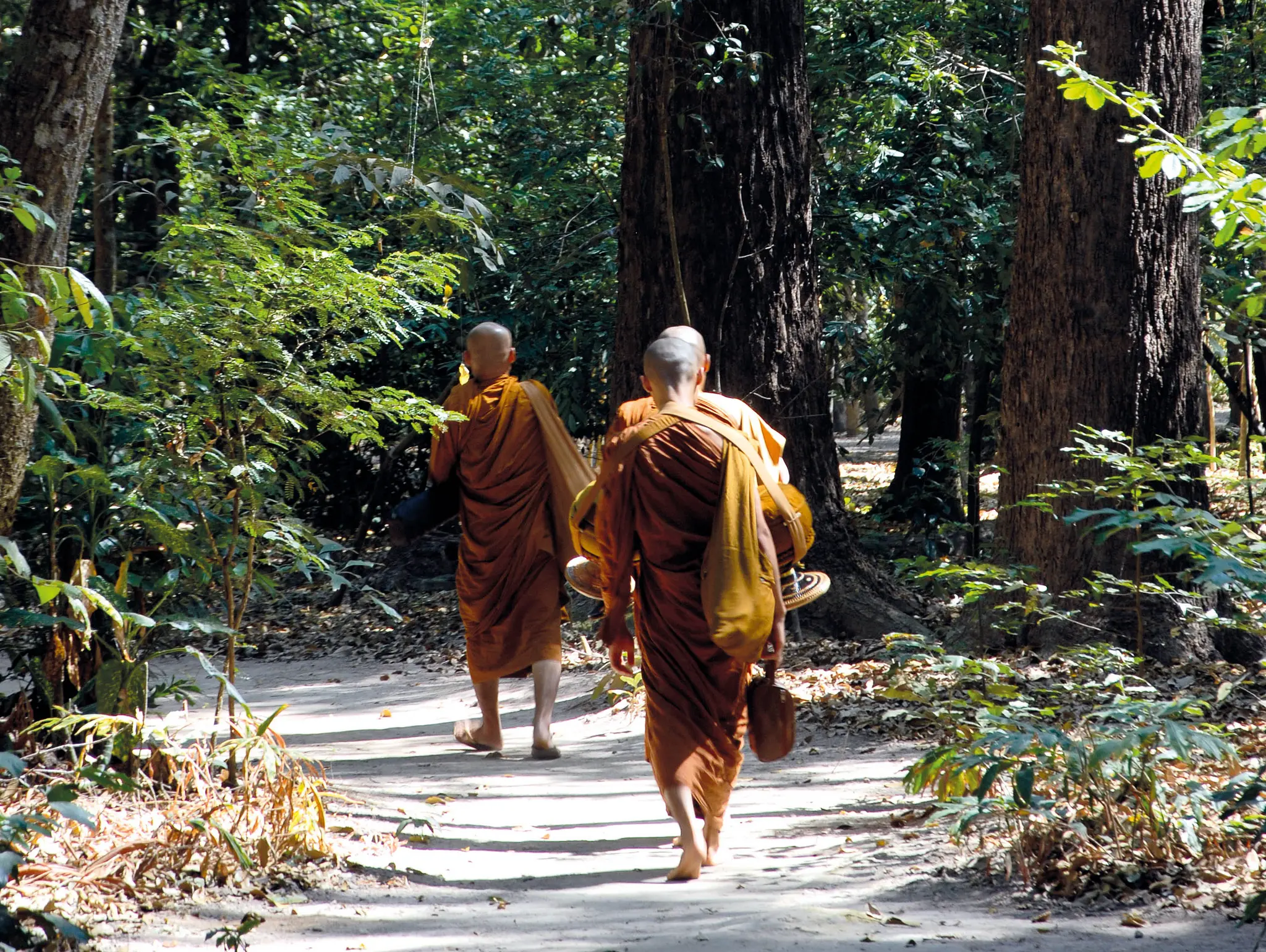 485 พระป่าสยาม ตามรอยธุดงควัตร