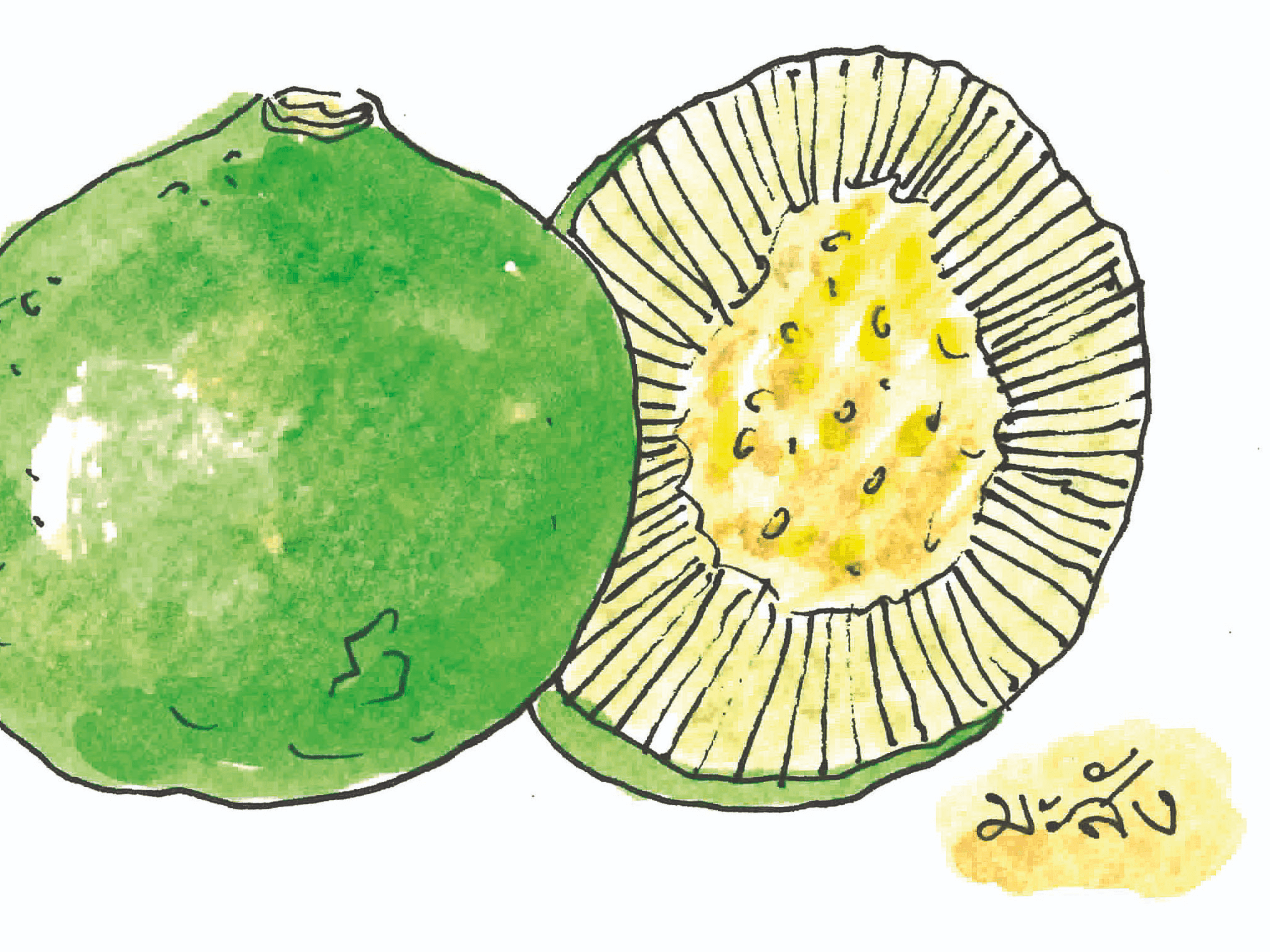 474 ท้ายครัว น้ำพริกสามมะ ผสมส้มให้กลมกล่อม