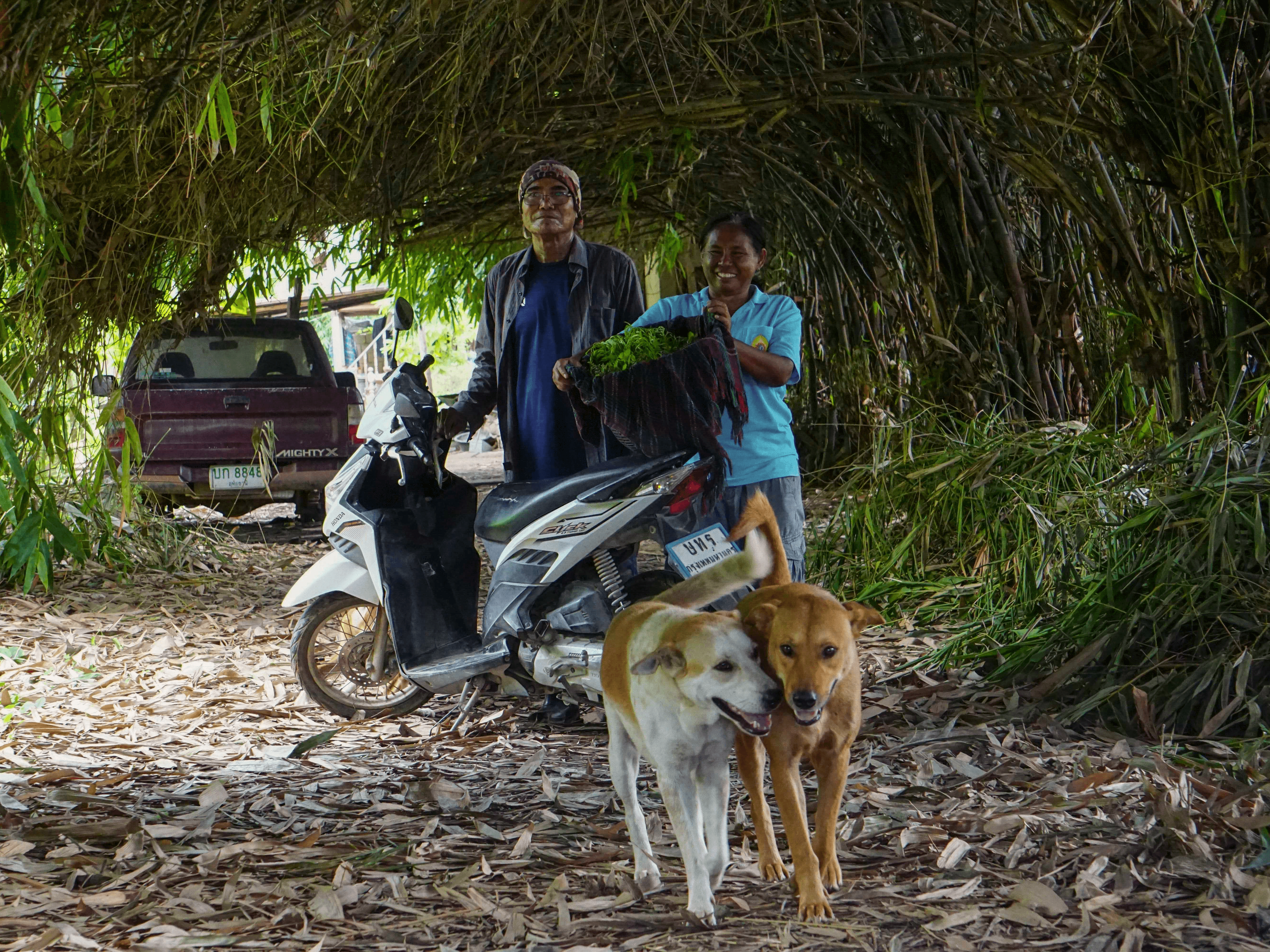 Soul2025 ปรับตัวและงอกงาม: ฤดูกาลชีวิตในผืนนาและสวนไผ่