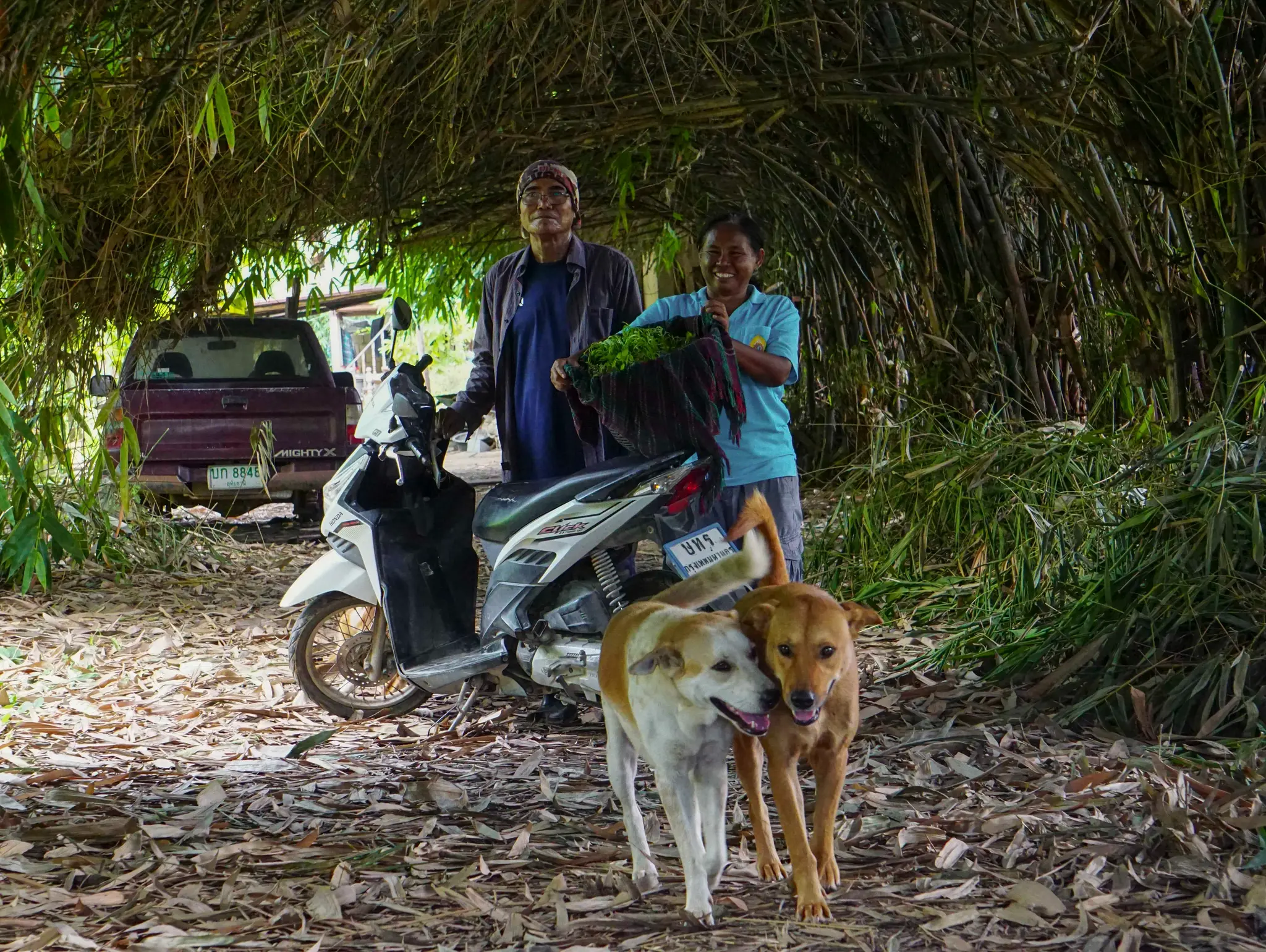 Soul2025 ปรับตัวและงอกงาม: ฤดูกาลชีวิตในผืนนาและสวนไผ่