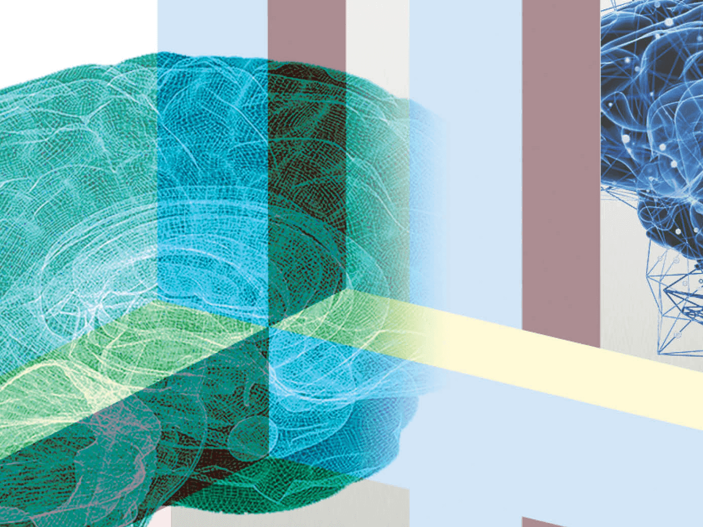 478 วิทย์คิดไม่ถึง ปริศนาสมองหด