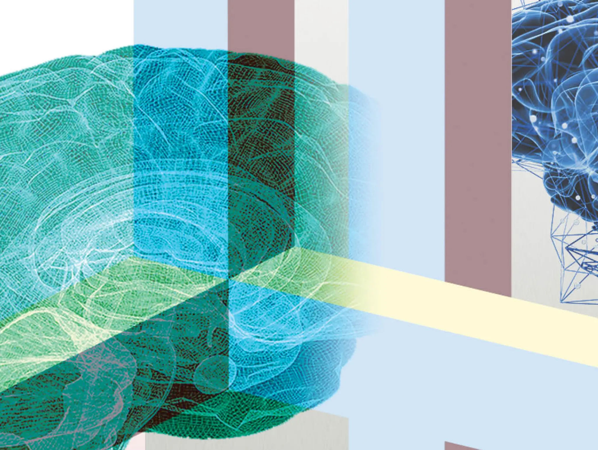 478 วิทย์คิดไม่ถึง ปริศนาสมองหด