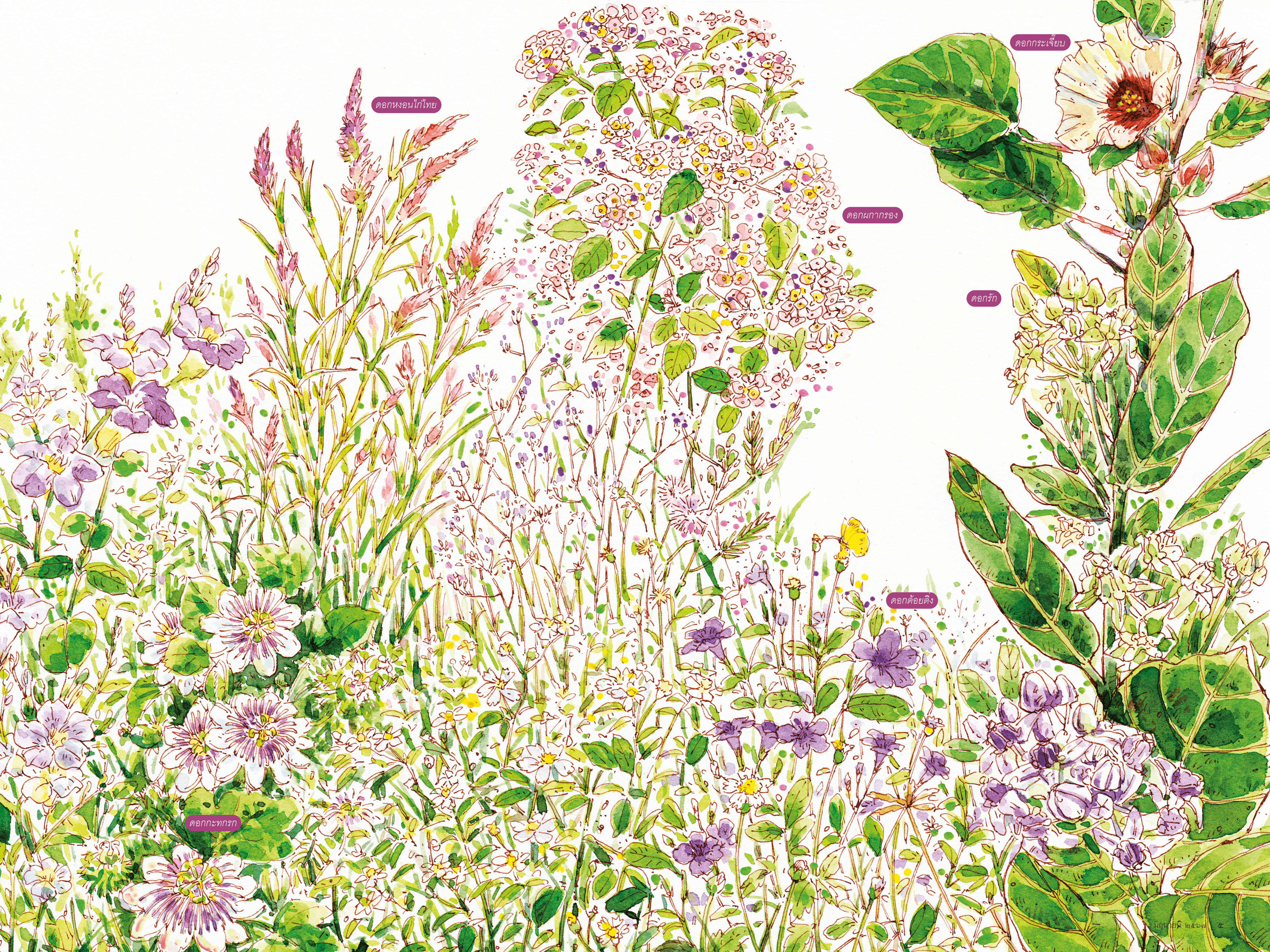 471 วาดเมือง ต้นฤดูฝน