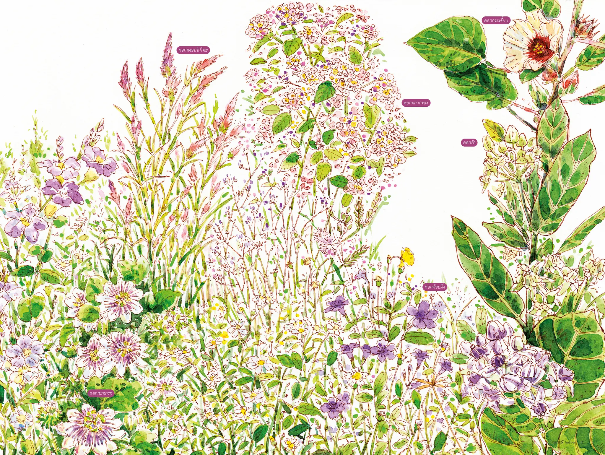 471 วาดเมือง ต้นฤดูฝน