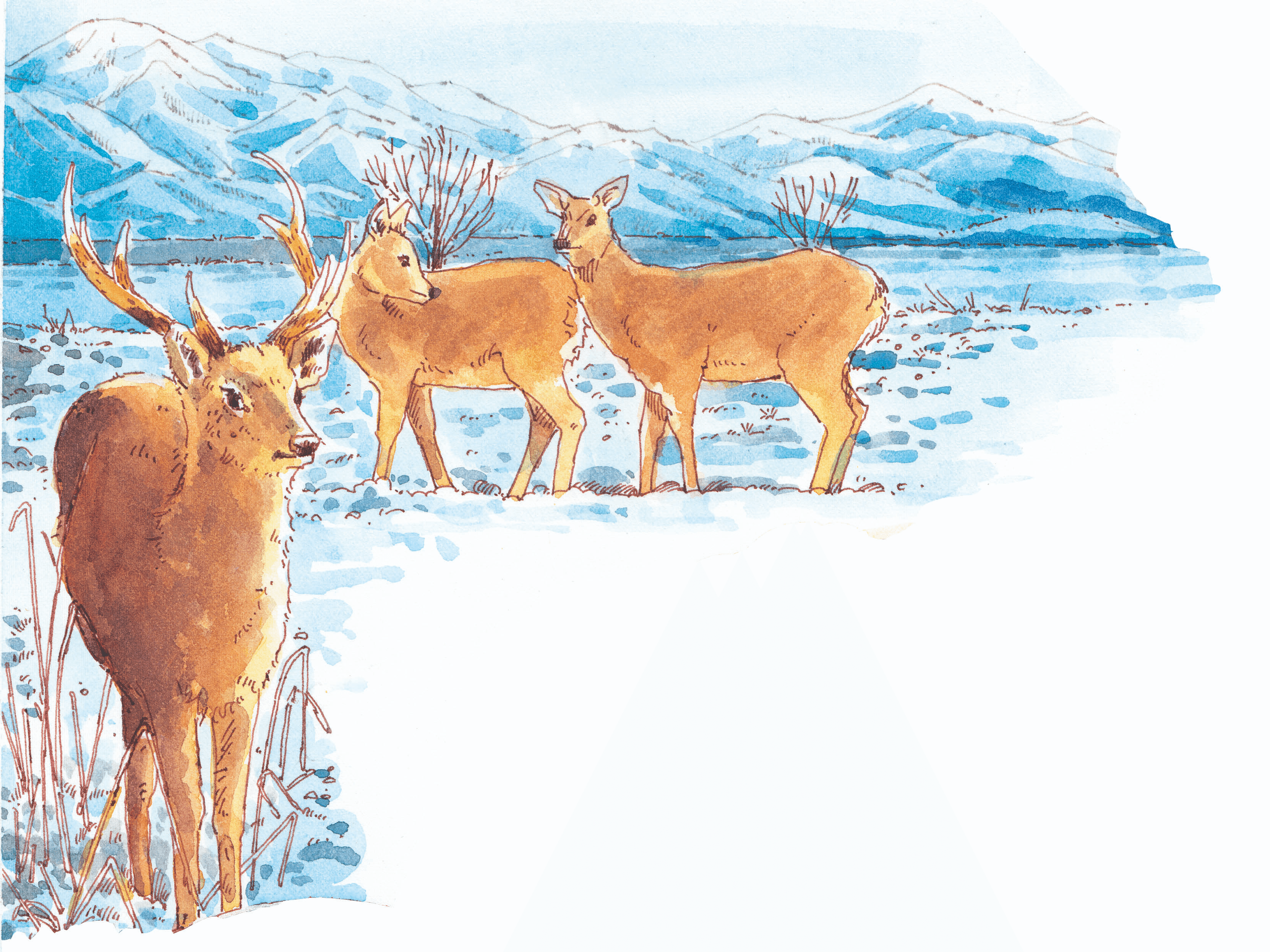 493 วาดเมือง ชีวิตในเมืองหิมะ