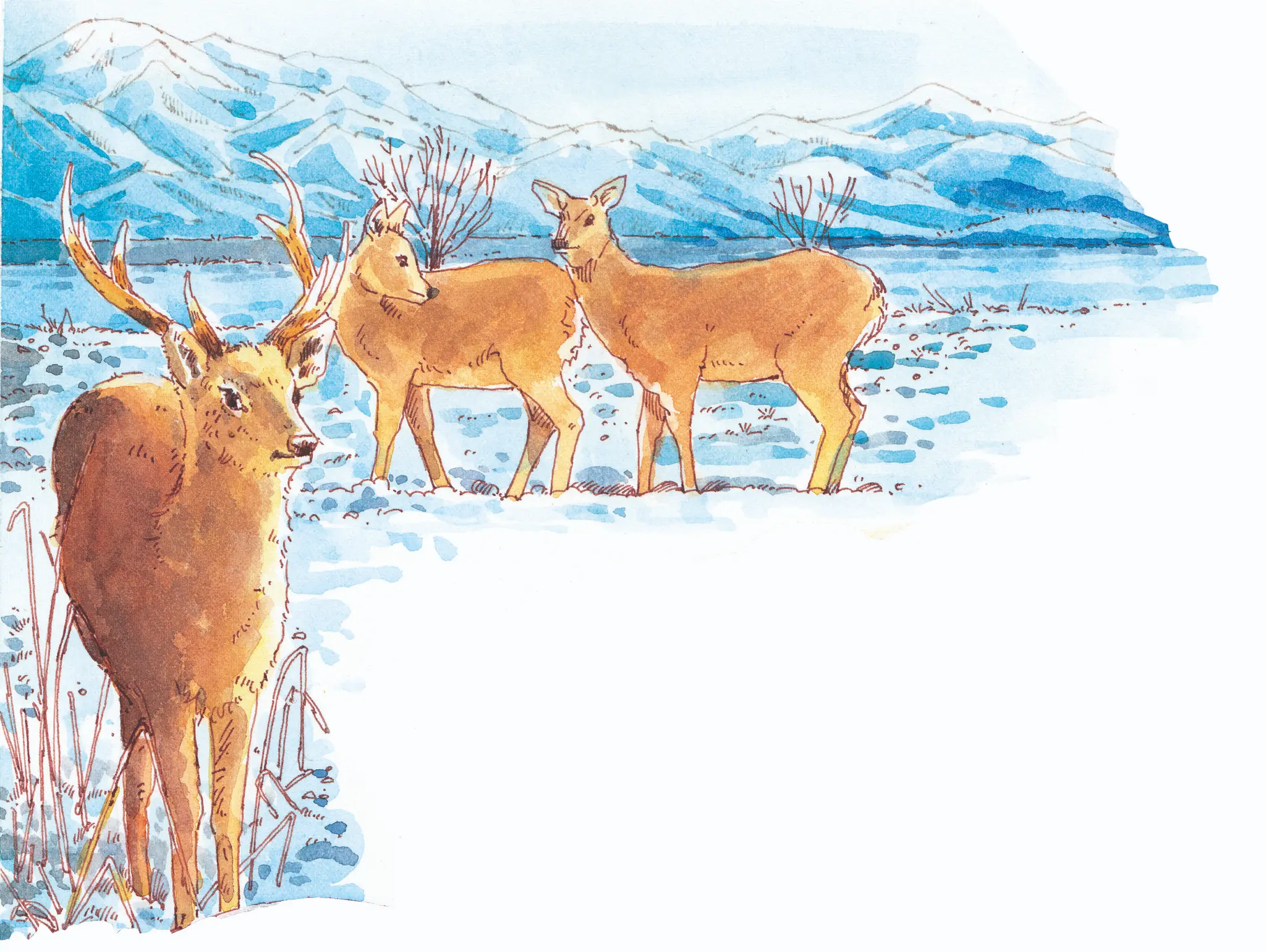 493 วาดเมือง ชีวิตในเมืองหิมะ