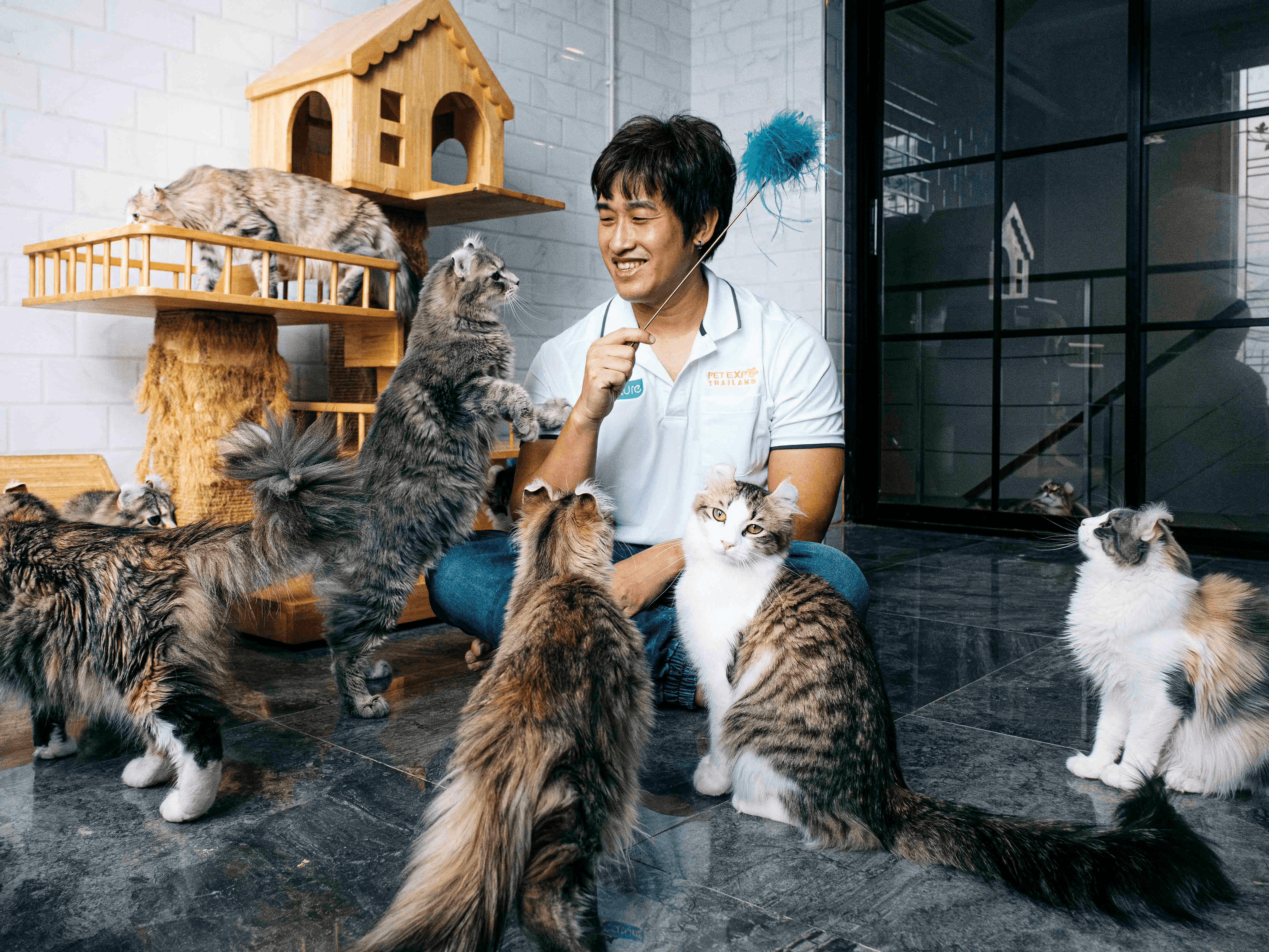 ลองอ่าน 470 เส้นทางสู่ บรีดเดอร์แมว ระดับโลก