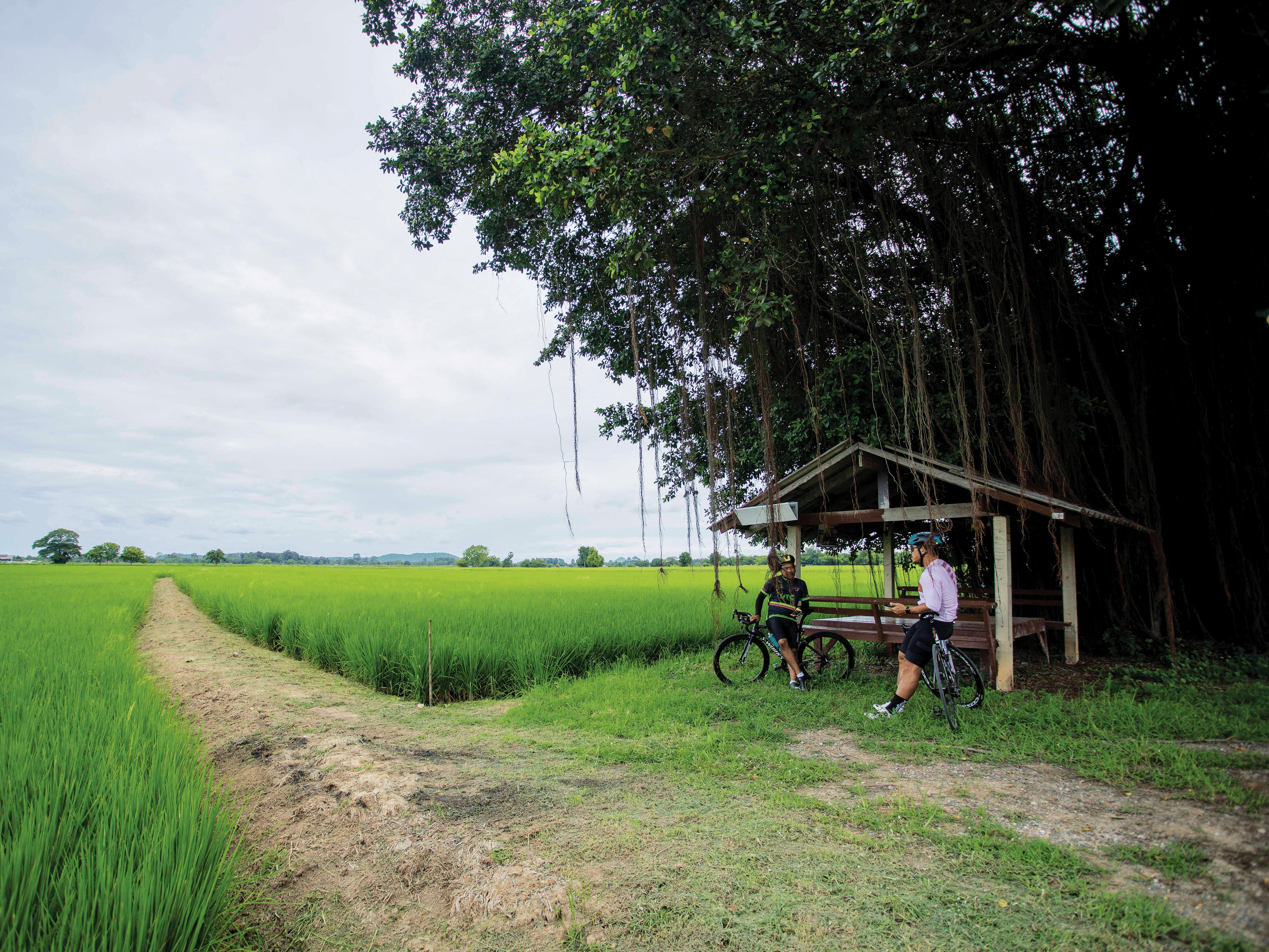 477 Foto Essay อยู่ดี ตายดีที่อุทัยธานี