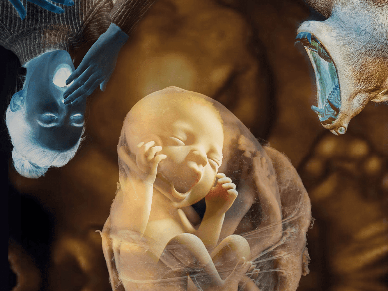 492 วิทย์คิดไม่ถึง หาวเพราะโชว์การแยกเขี้ยวยิงฟัน ?