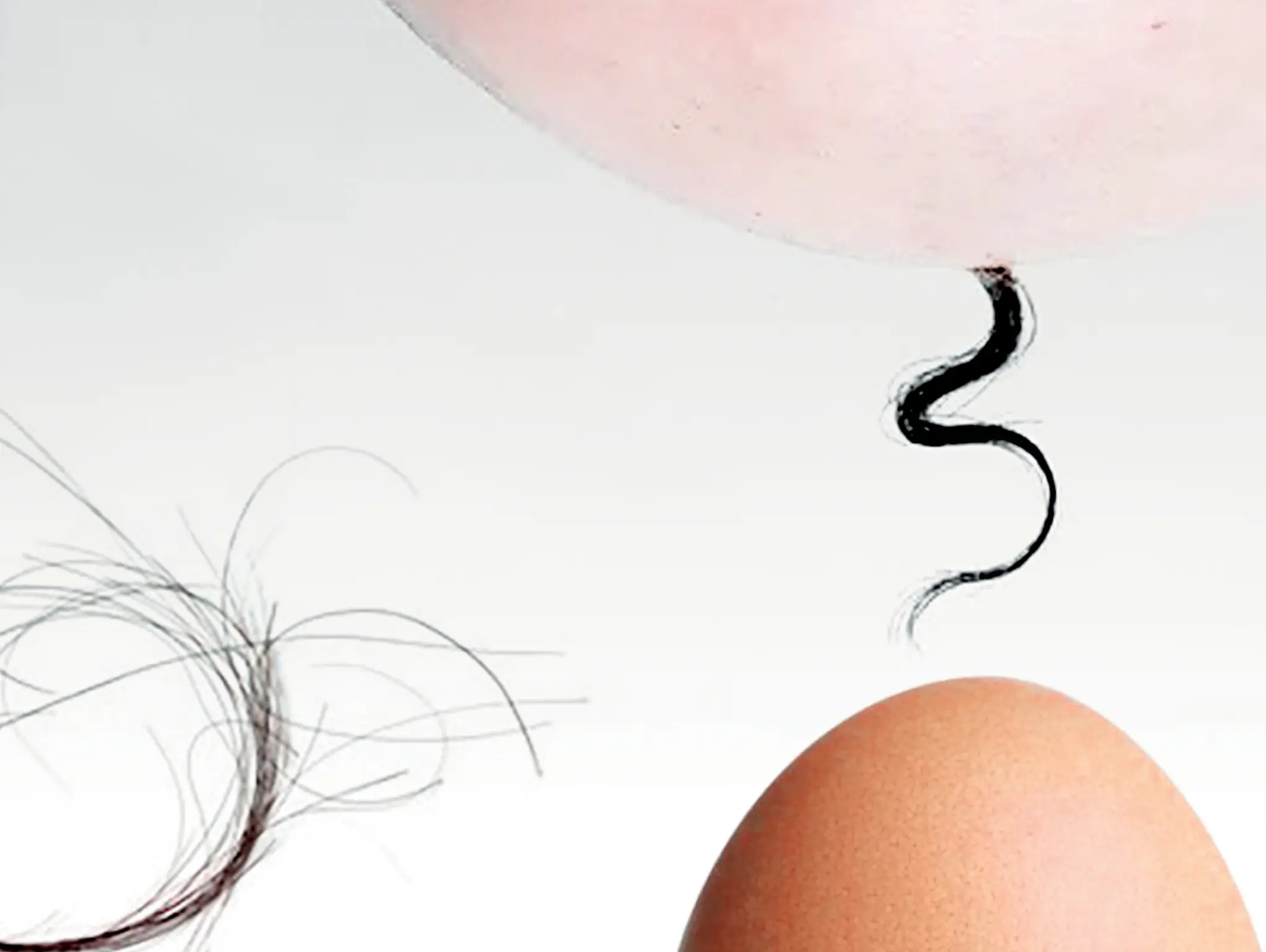 471 วิทย์คิดไม่ถึง ห้าวมากก็เลยผมน้อย ?