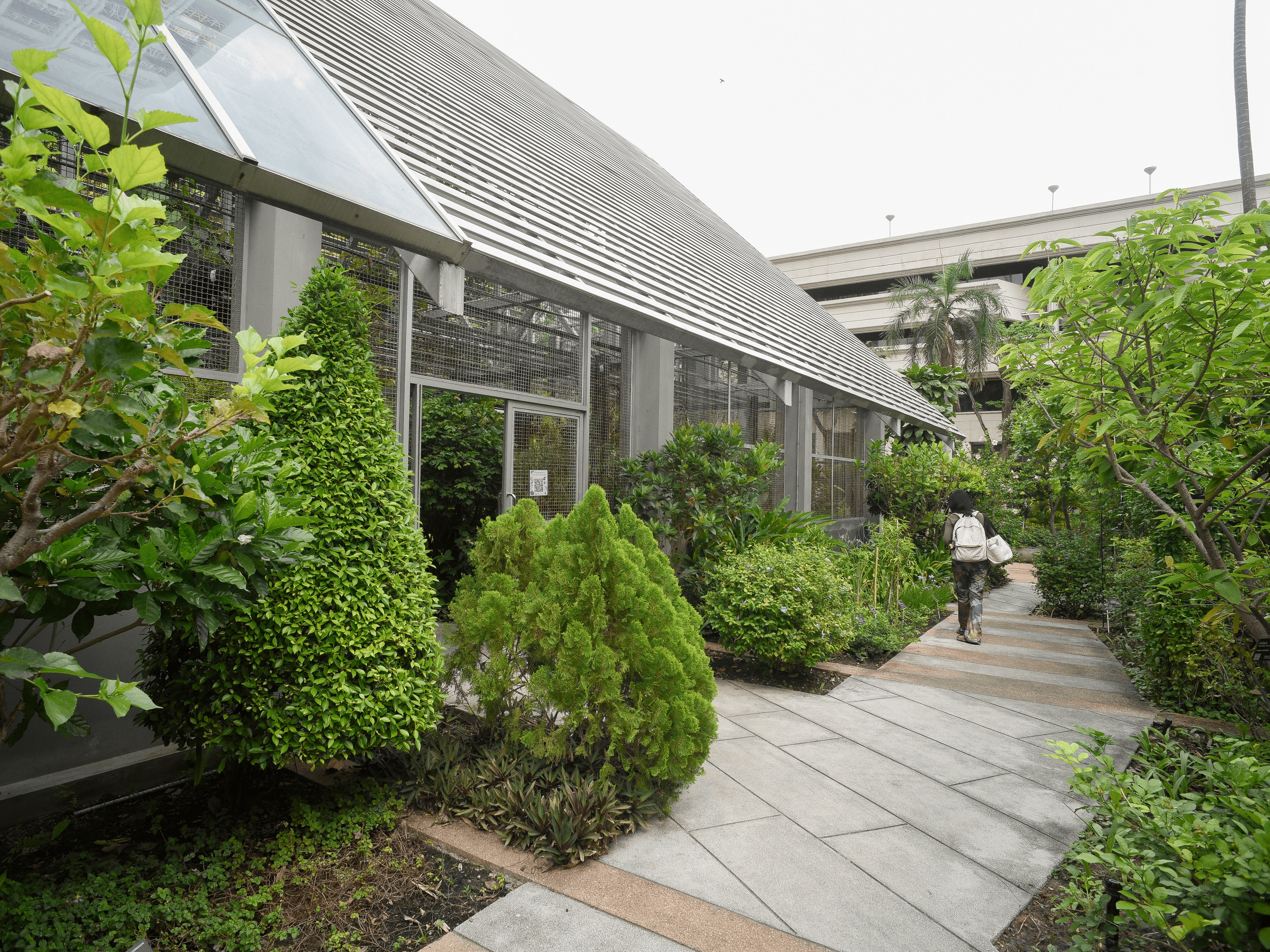 482 Hidden (in) Museum ห้องเรียน มีชีวิต