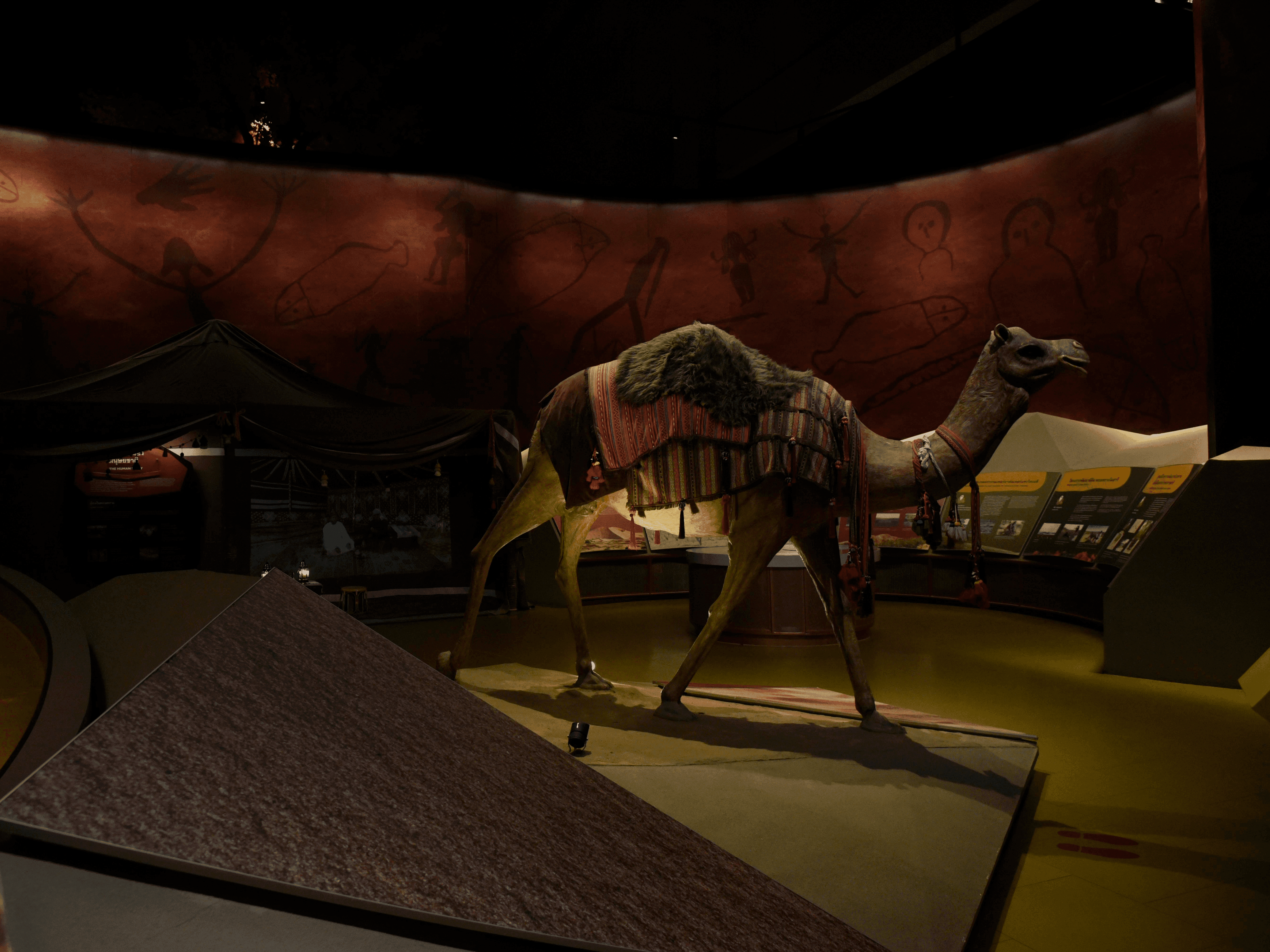 470 Hidden (in) Museum HI HOMO