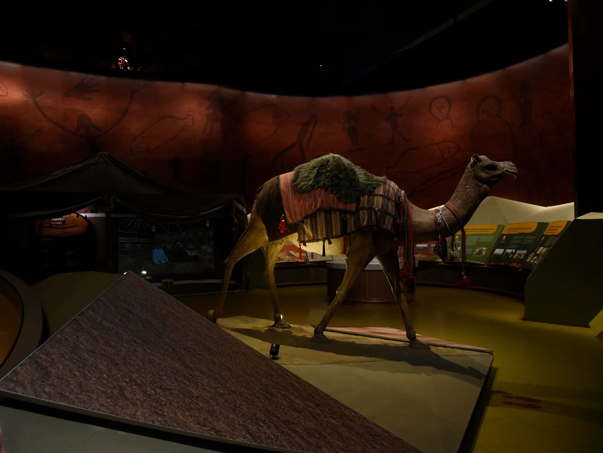 470 Hidden (in) Museum HI HOMO