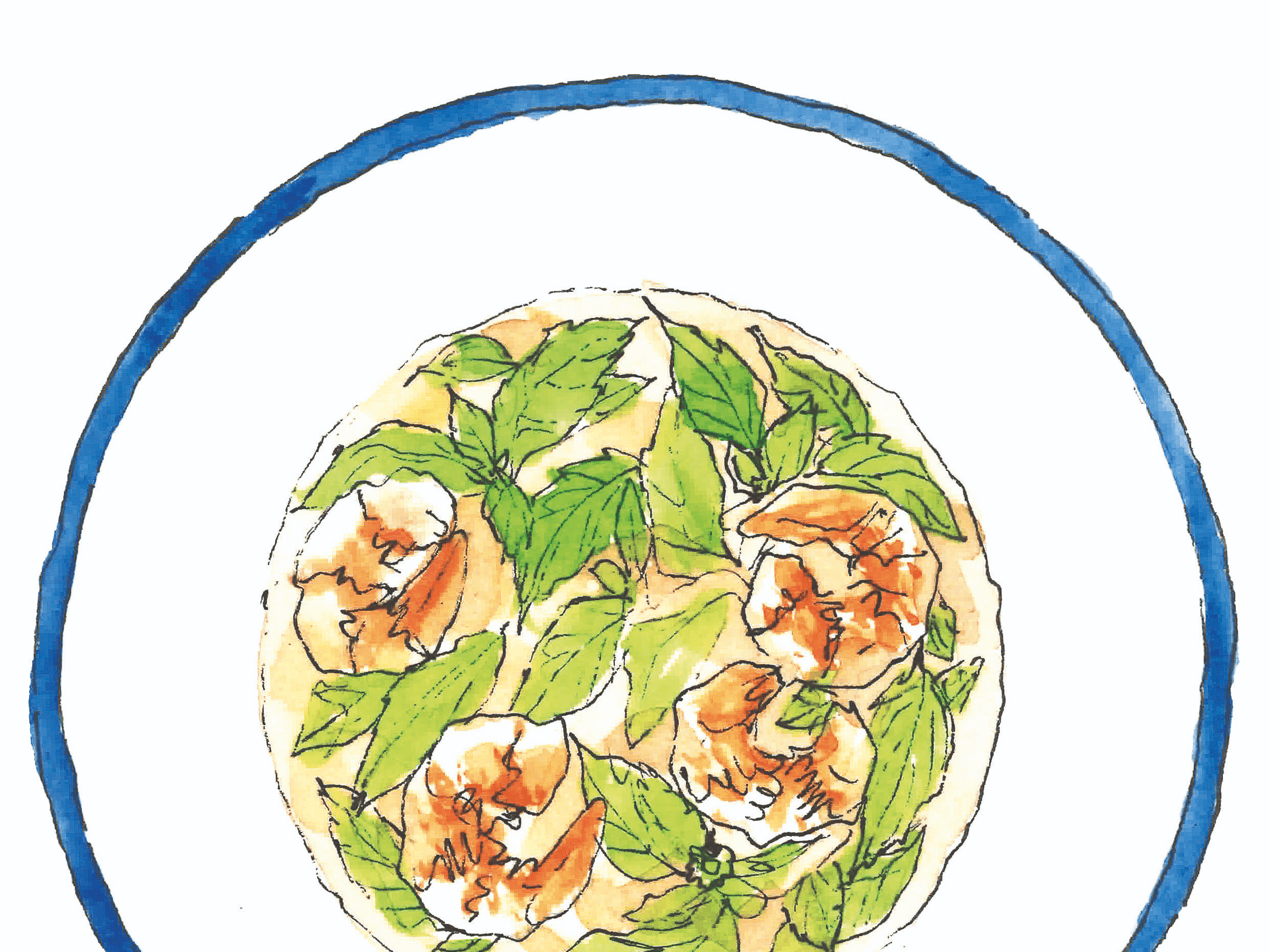 482 ท้ายครัว แกงเลียงใบแมงลัก ลิ้มรส lemon basil