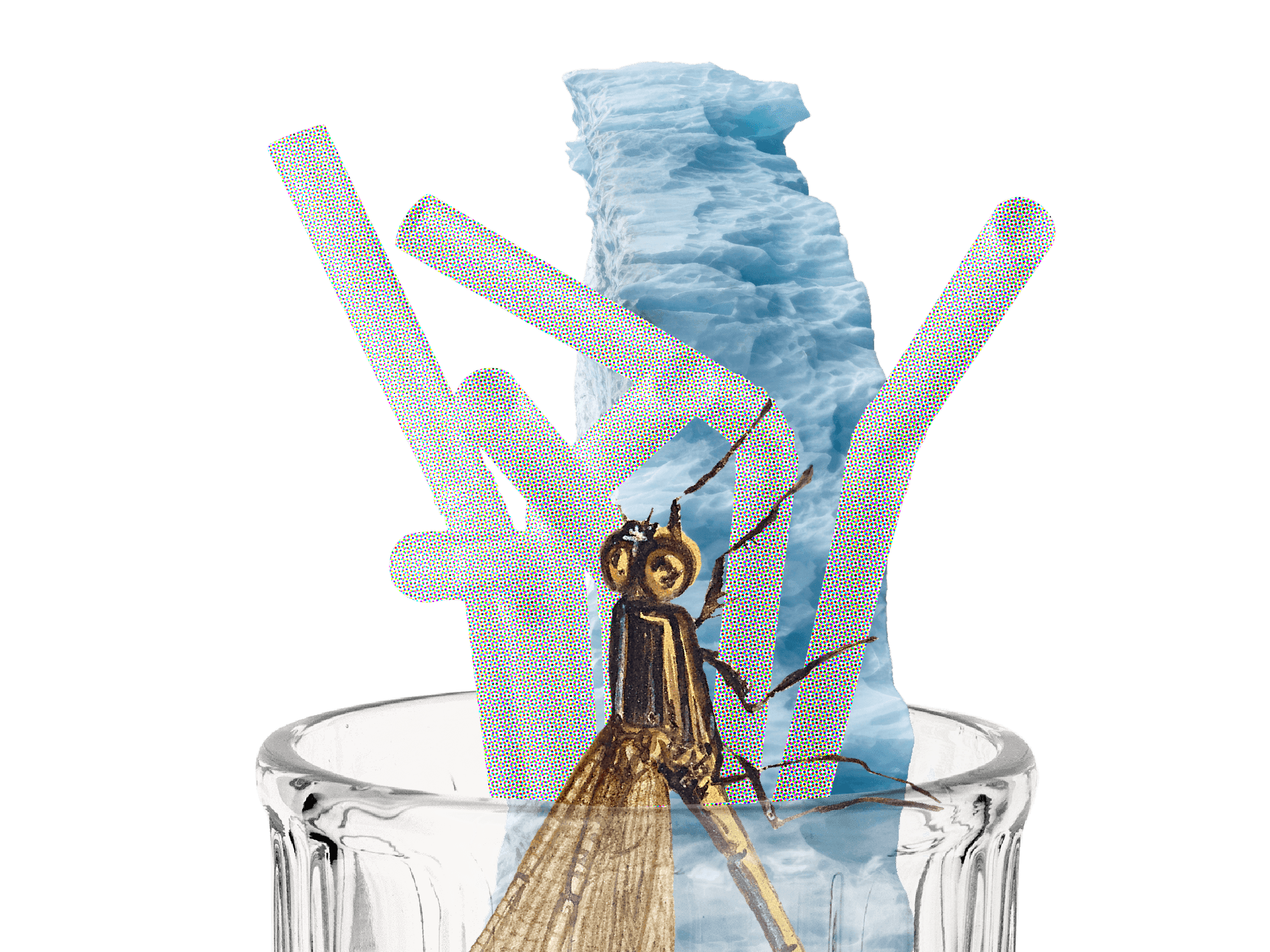 489 จากบรรณาธิการ ยั่งยืน