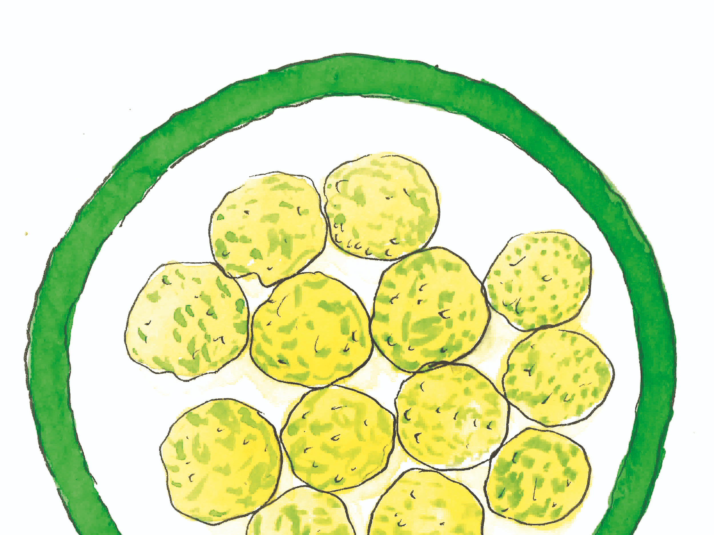 493 ท้ายครัว ลูกชิ้นผำ ซ่อนรูปเพื่อความอร่อย