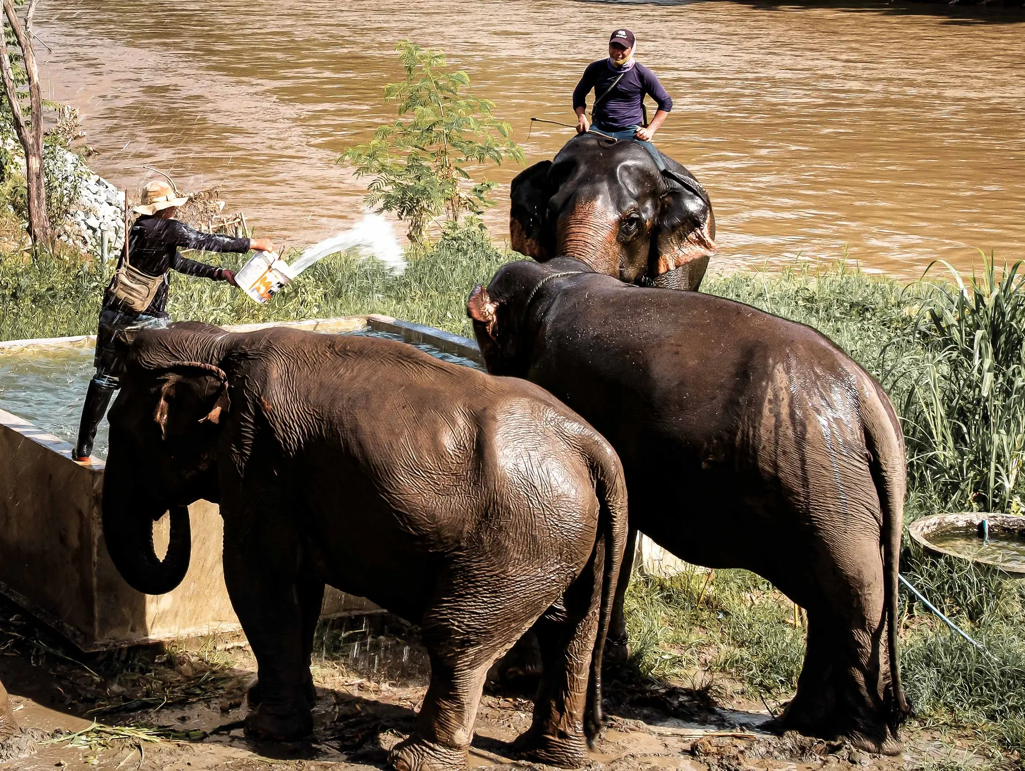 ลองอ่าน 490 สายน้ำพัง ฝั่งน้ำป่วย : เสียงร้องทุกข์จากคนลุ่มน้ำกก