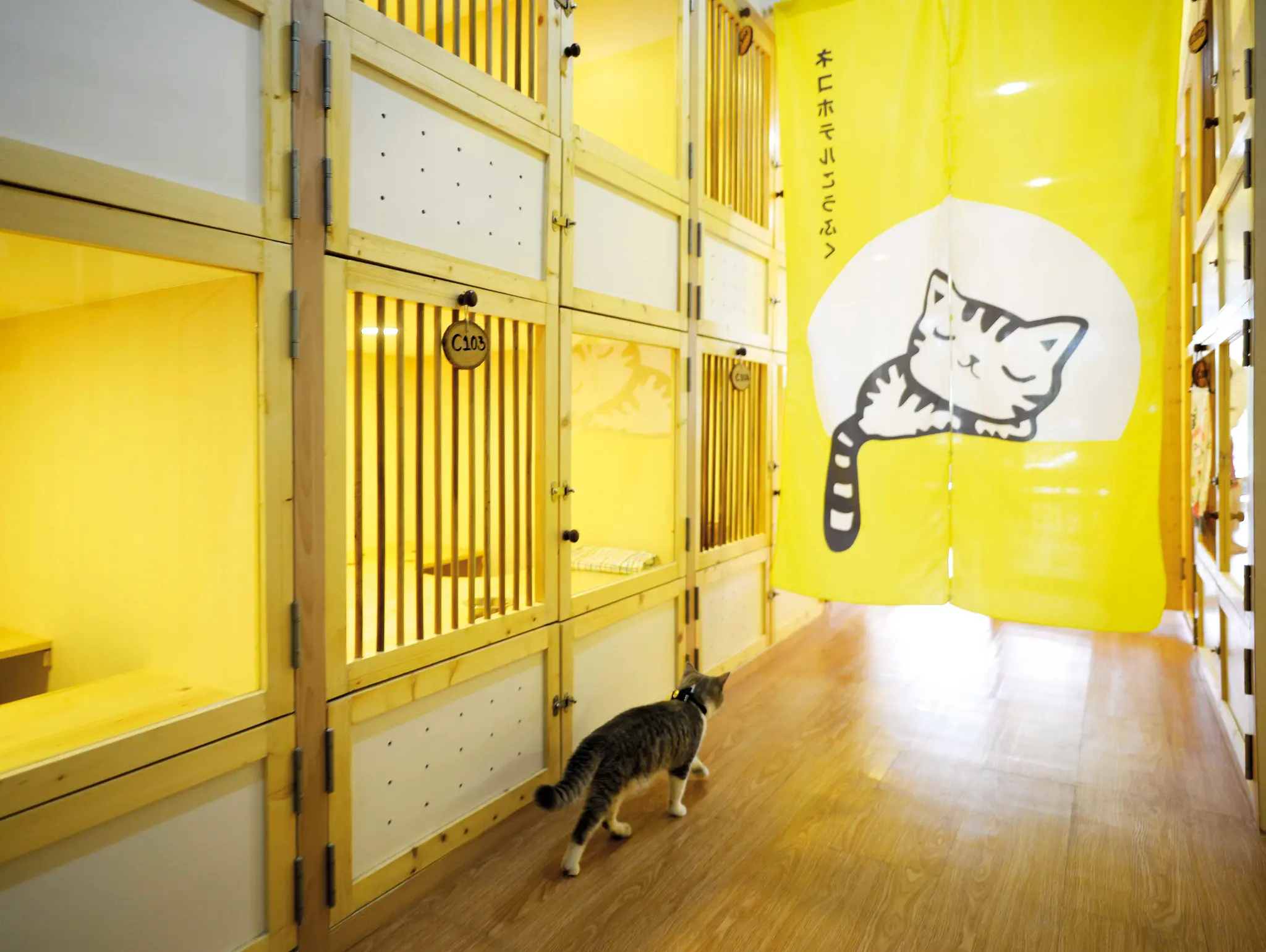 ลองอ่าน 470 Kofuku Cat Hotel โรงแรมที่ทั้งคนและแมวมีความรัก ความสุข ความผูกพัน