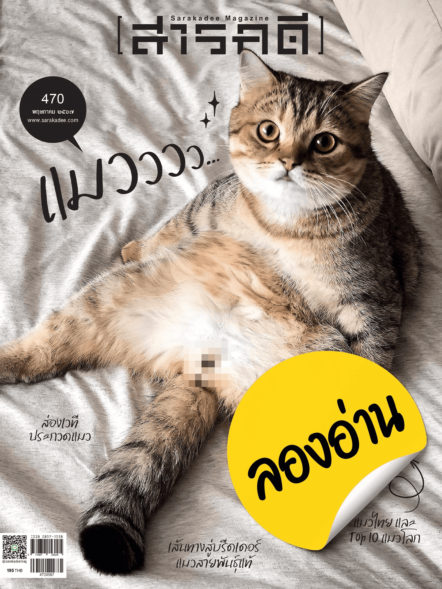 ลองอ่าน 470 พฤษภาคม 67 แมวววว...