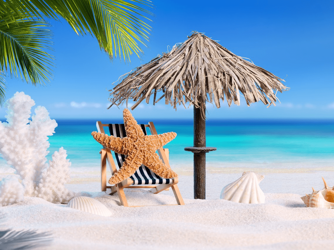 Masthead: Meet the Tropics Lifestyle Team