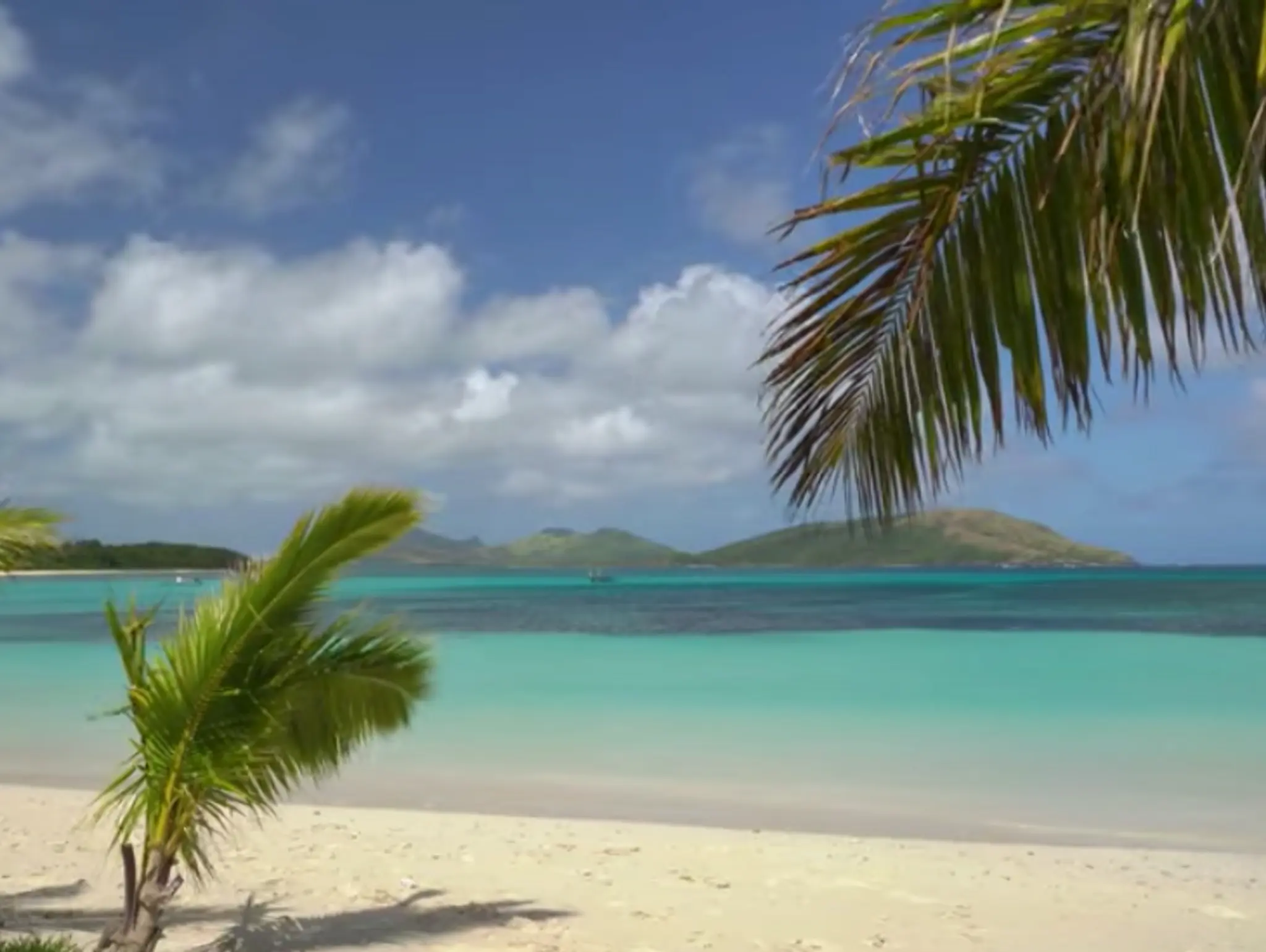 VIDEO: Paradise Beach Scene + Wave Sounds in 4K