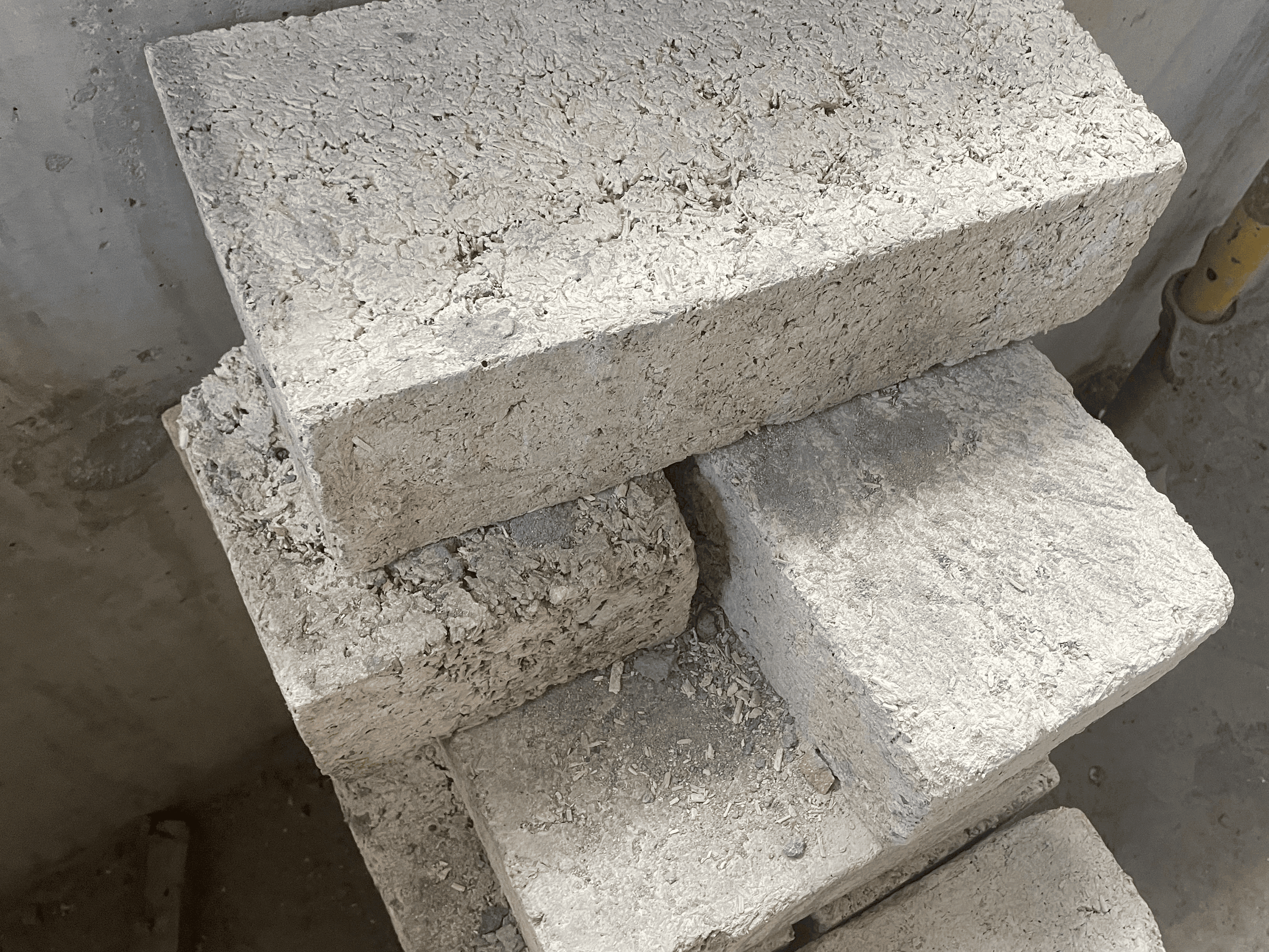 Building for the Future 