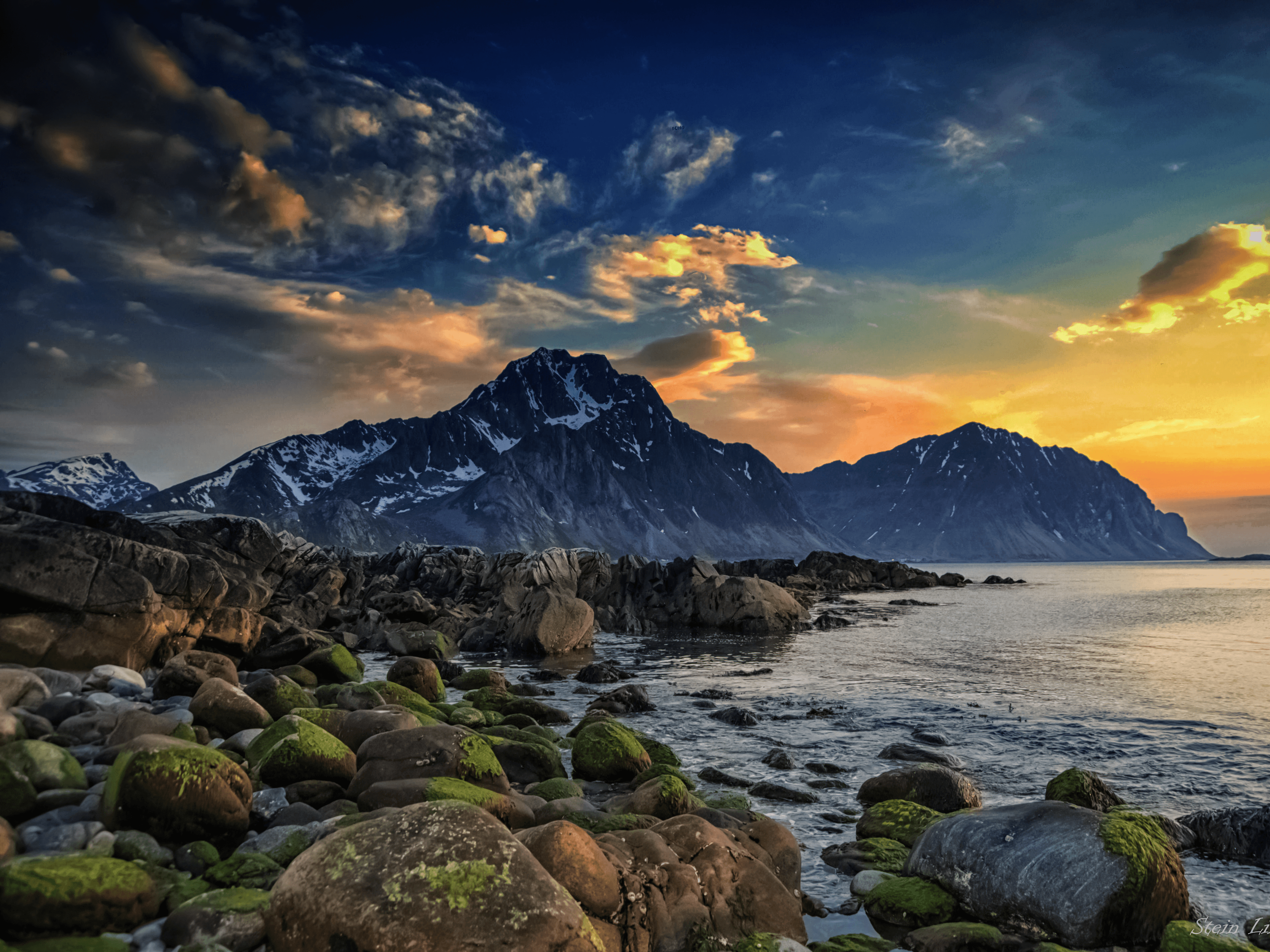 The 'Greening' of the Arctic