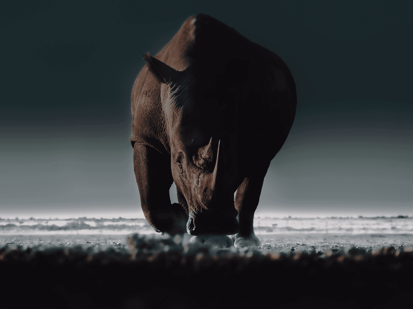 A Watchful Eye on Our Wilderness