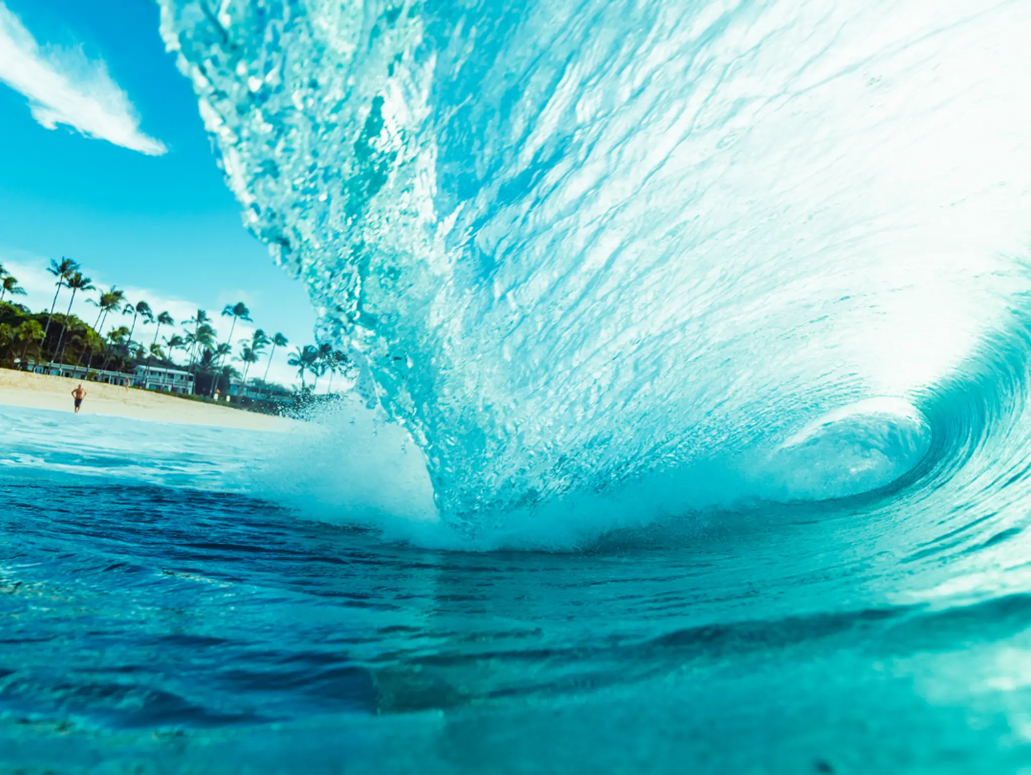 Wave Energy Converters: Surfing Towards Sustainable Power