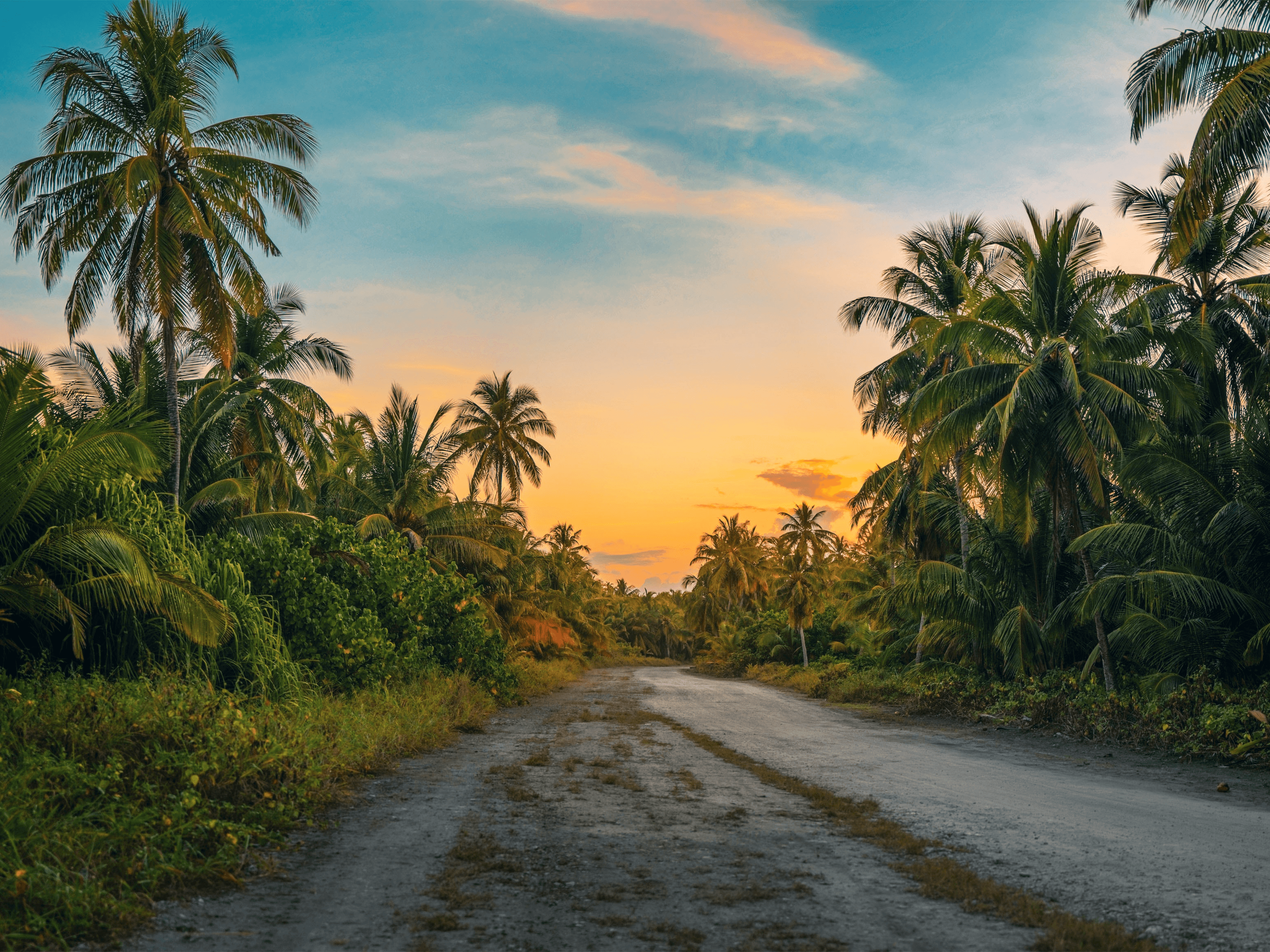 Protecting Carbon Wilderness Ecosystems