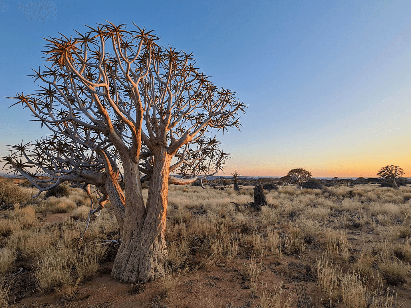 Wilderness Foundation Africa – 50 Years
