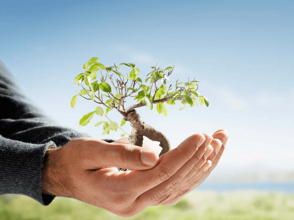 From Climate Chaos to Climate Hope