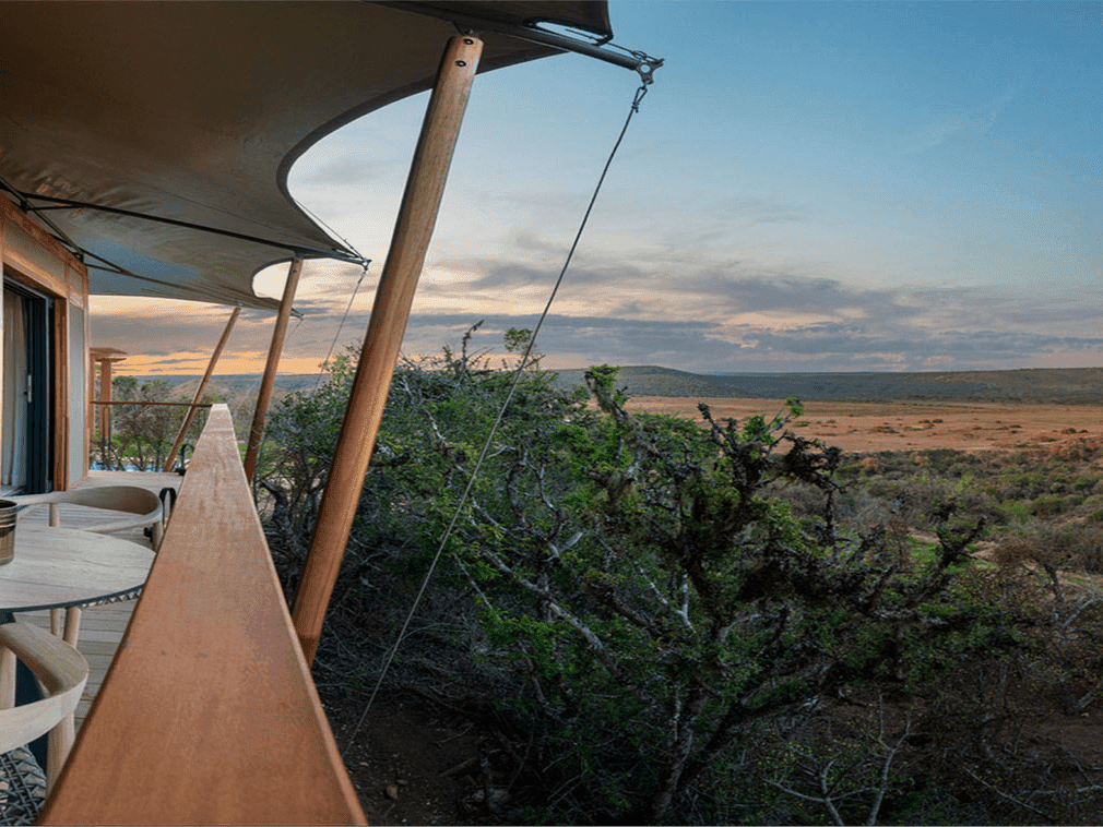 At the Frontier - Shamwari- A legacy of the man who created it