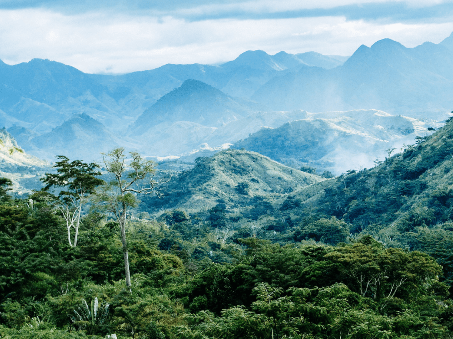 A Fathers Perspective