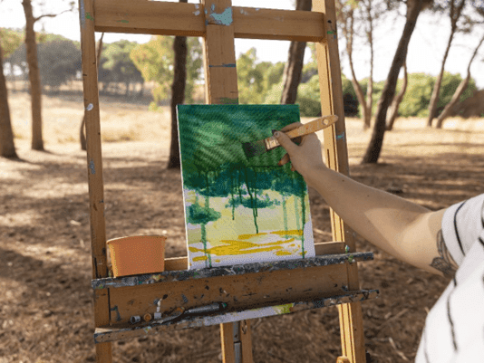 Conservation through art