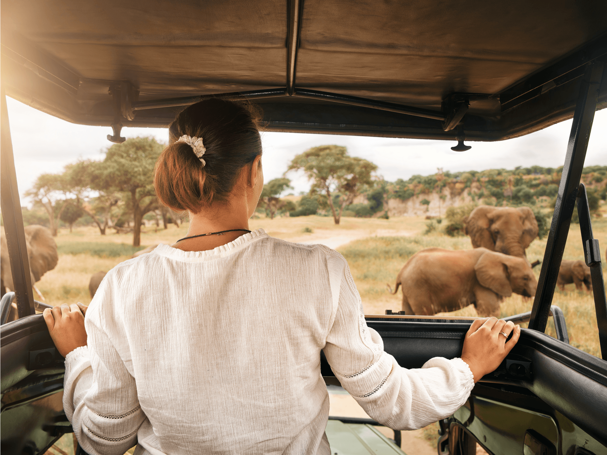 African Sky of Diamonds