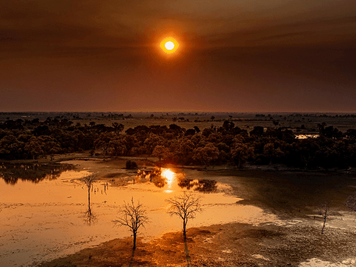 Planet Savers on the Move 