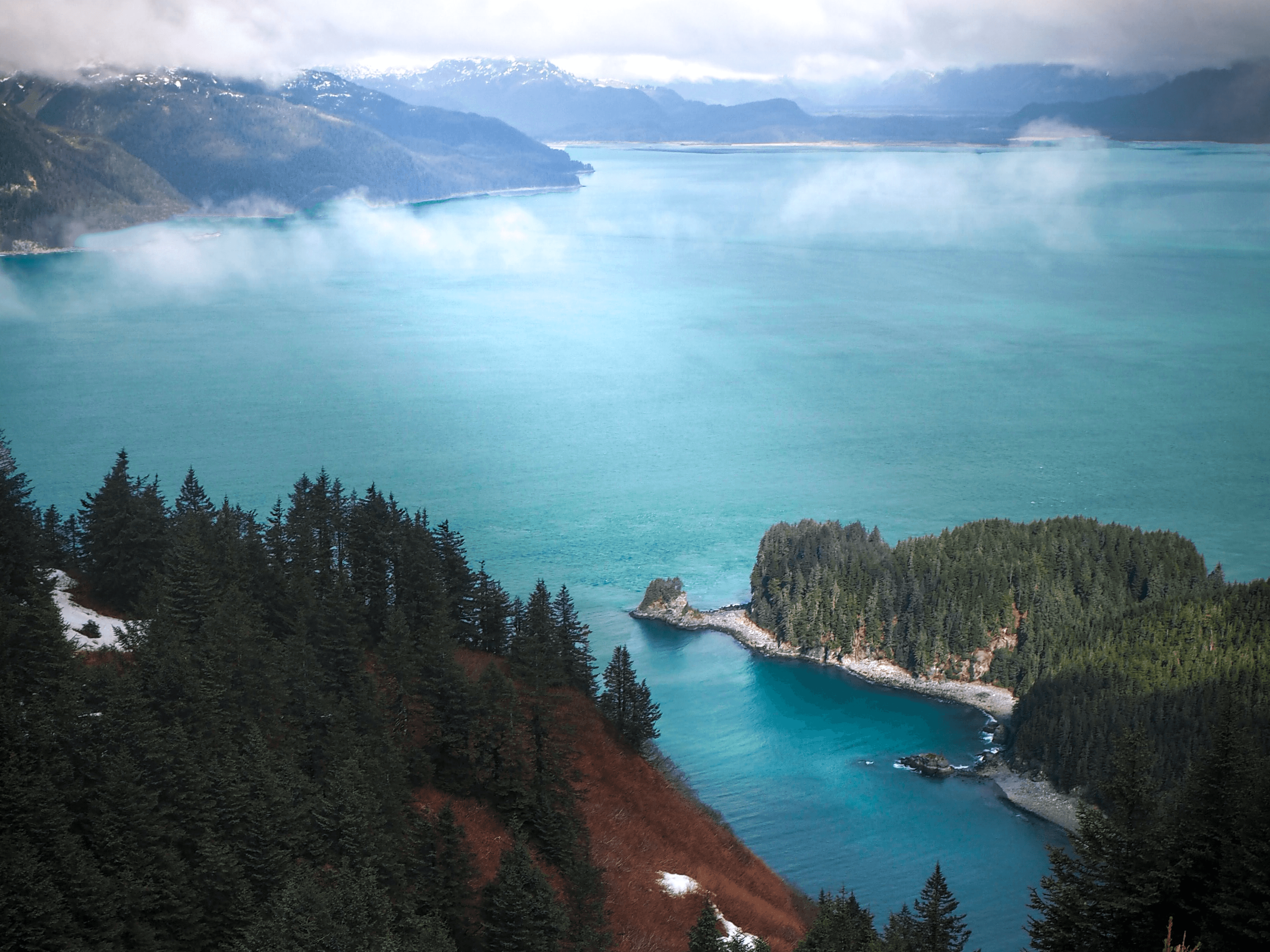 Carbon Driven Extravagance 